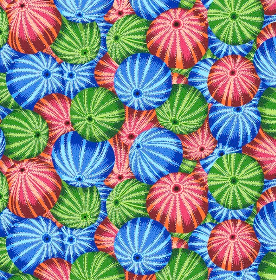 Sea Urchins Multi