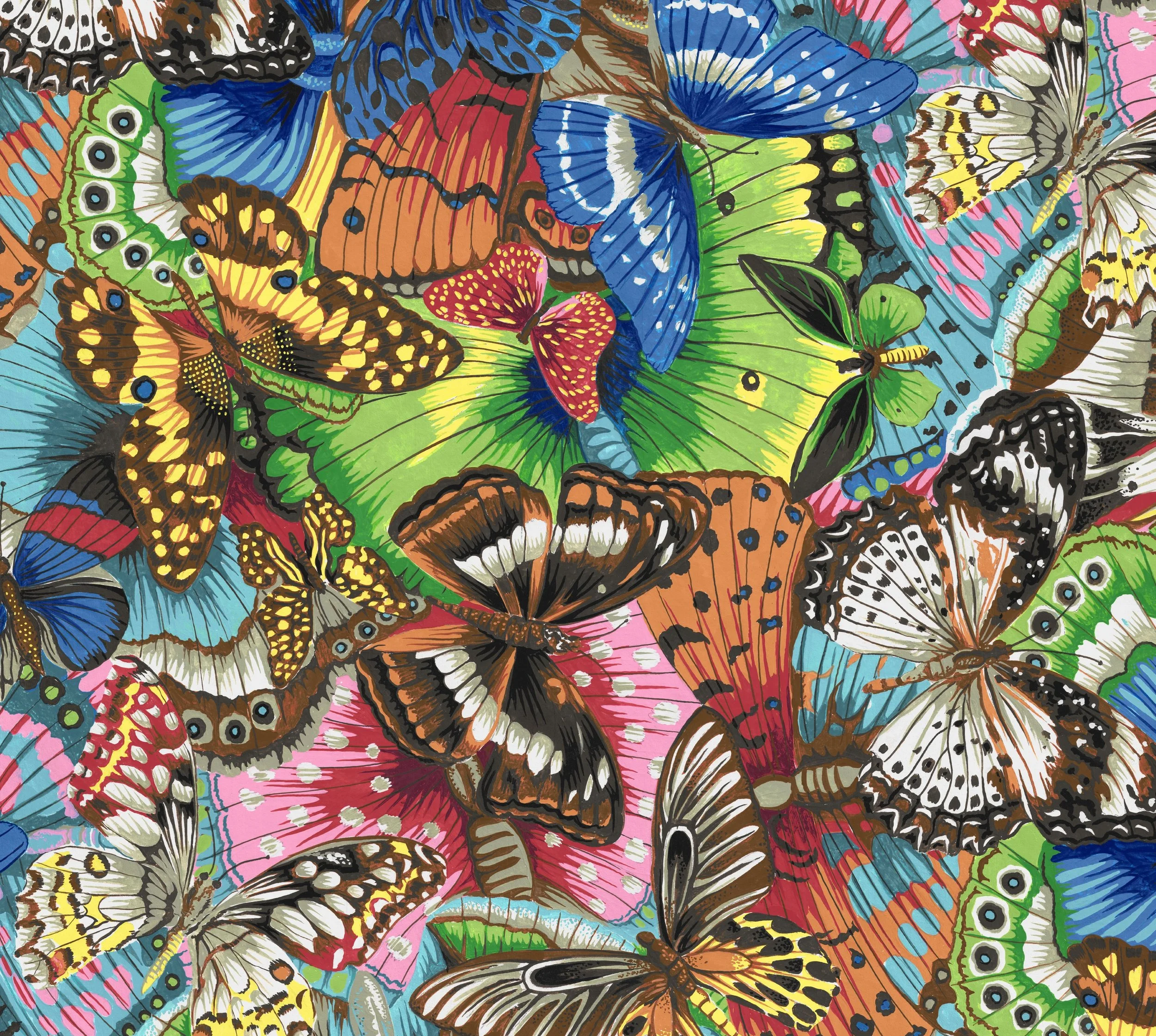 TROPICAL BUTTERFLIES MULTI Phillip Jacobs Snow Leopard
