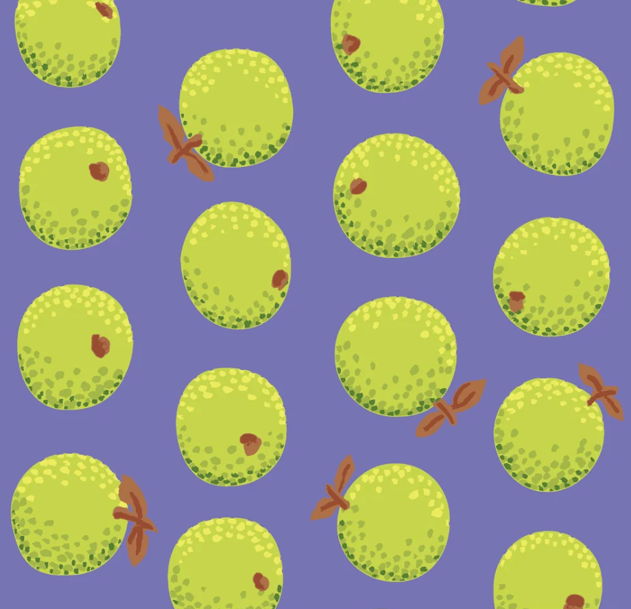 Oranges Lavender.png