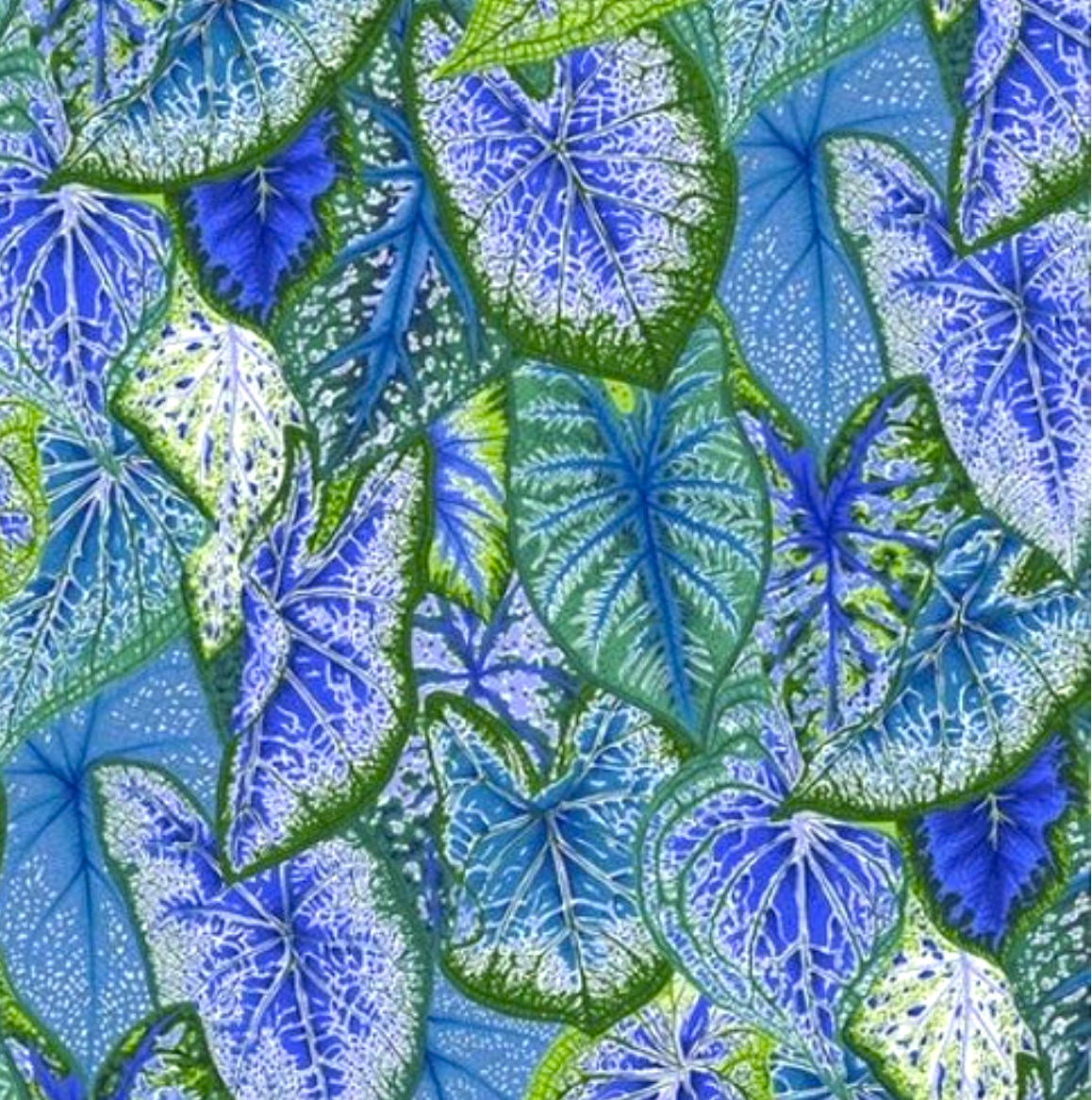 Caladiums Blue.png