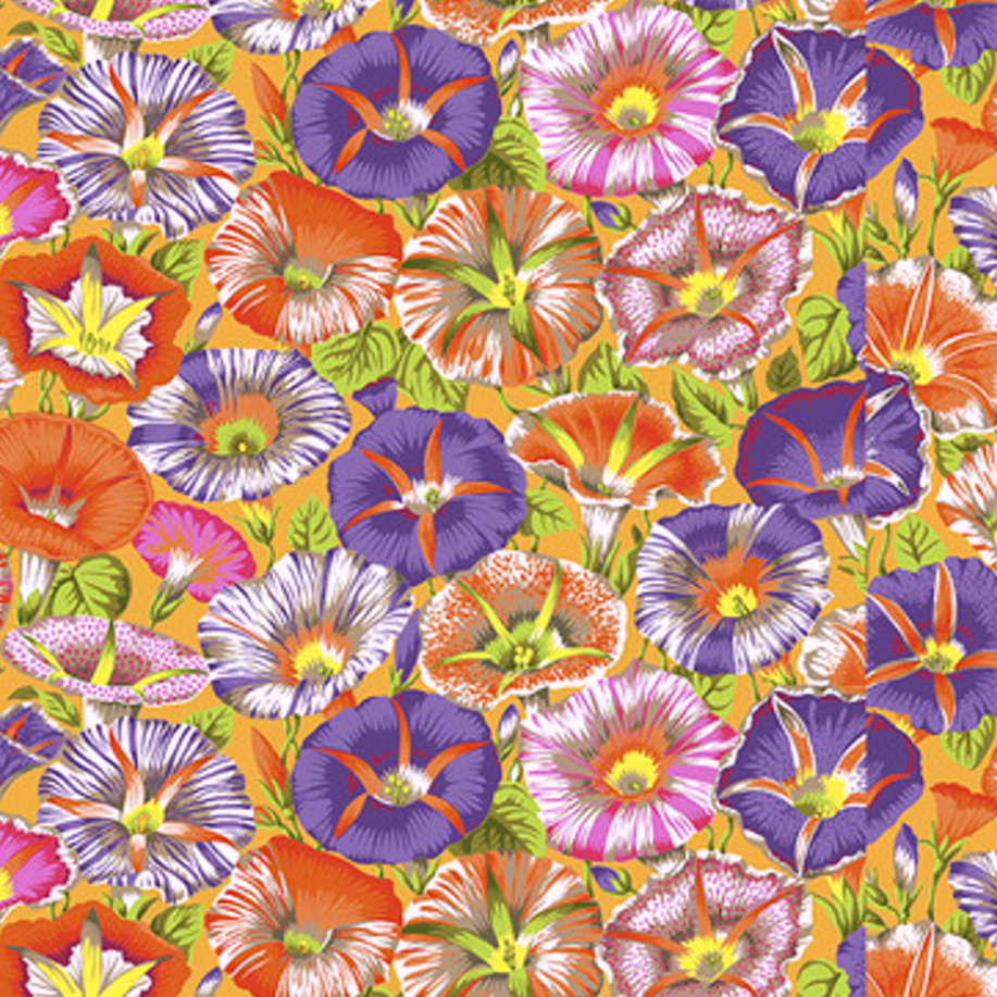 Variegated Morning Glory Orange