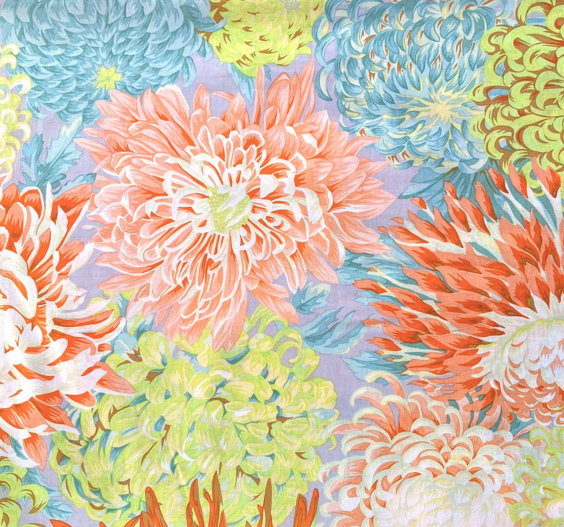 Japanese Chrysanthemum Spring