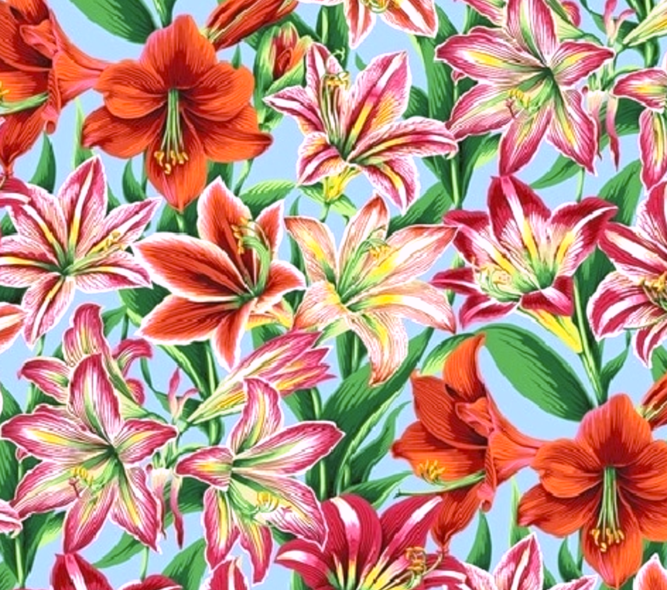 Amaryllis Natural.png