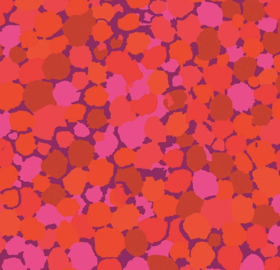 REFLECTIONS FUCHSIA Kaffe Fassett Collective