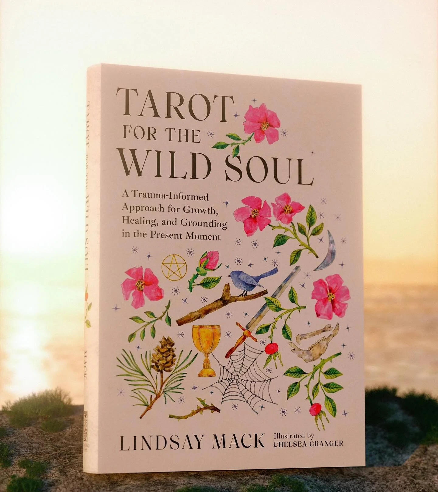 Since November 2023, I&rsquo;ve been birthing two huge creative projects and I finally get to share them with you: my book,&nbsp;Tarot for the Wild Soul, and a Tarot deck,&nbsp;The Soul Tarot Deck, illustrated by @chelseairisgranger and written by yo