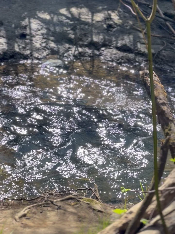 Beloved kin, mirrored back to us 🌿🪻✨