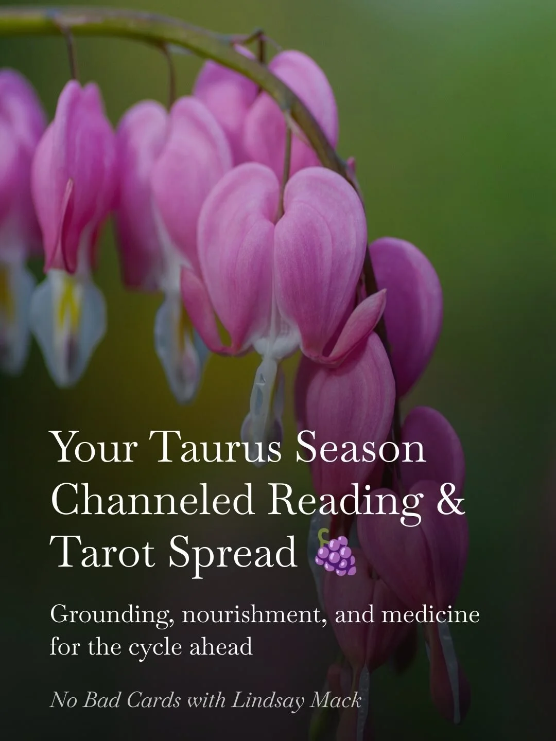 My Channeled Download and Tarot Spread for Taurus season is live on No Bad Cards! You can tune in and read more about it at the 🔗 🪻✨🌿🌸

Today is also the official one month countdown to my book and Tarot deck coming out! It&rsquo;ll be here earth