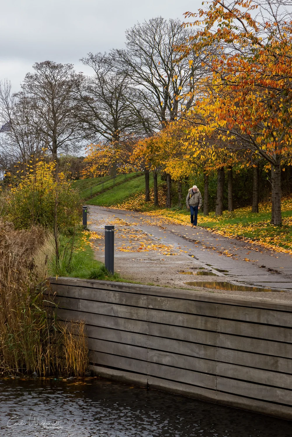 Copenhagen in Autum3.jpg