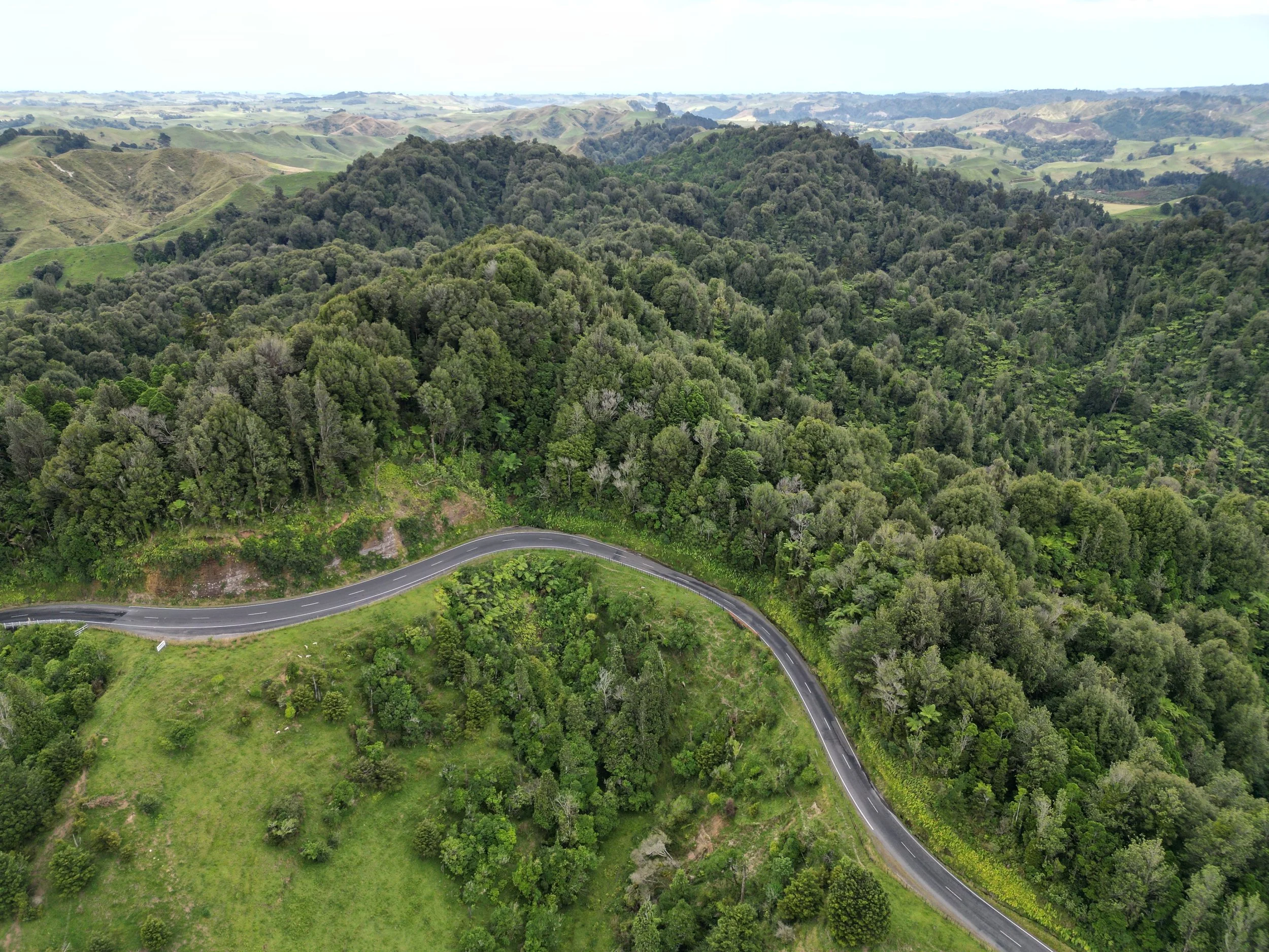 dji_fly_20240112_150230_106_1706894478877_photo.JPG