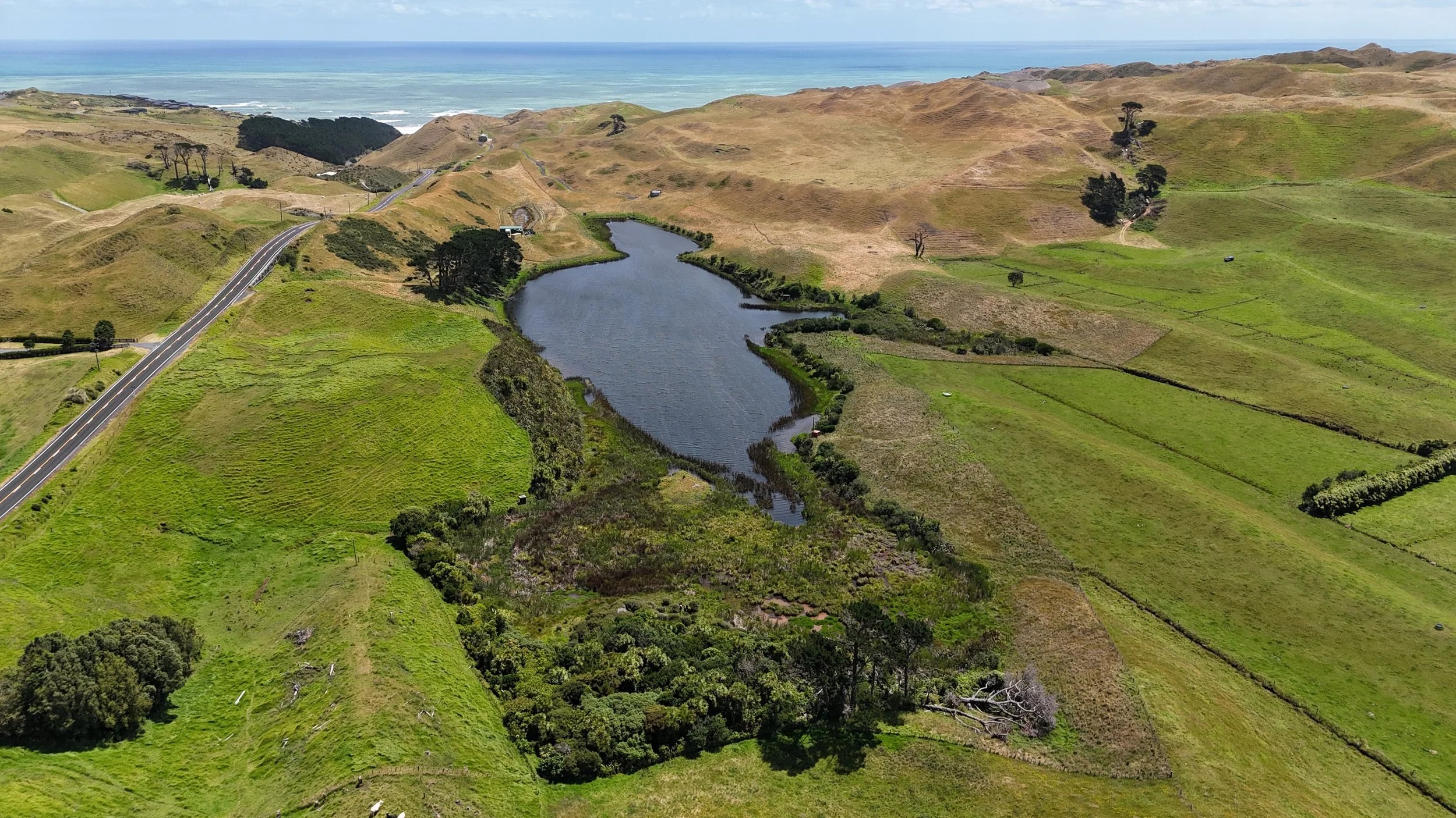 Lake Whatihua aerial image