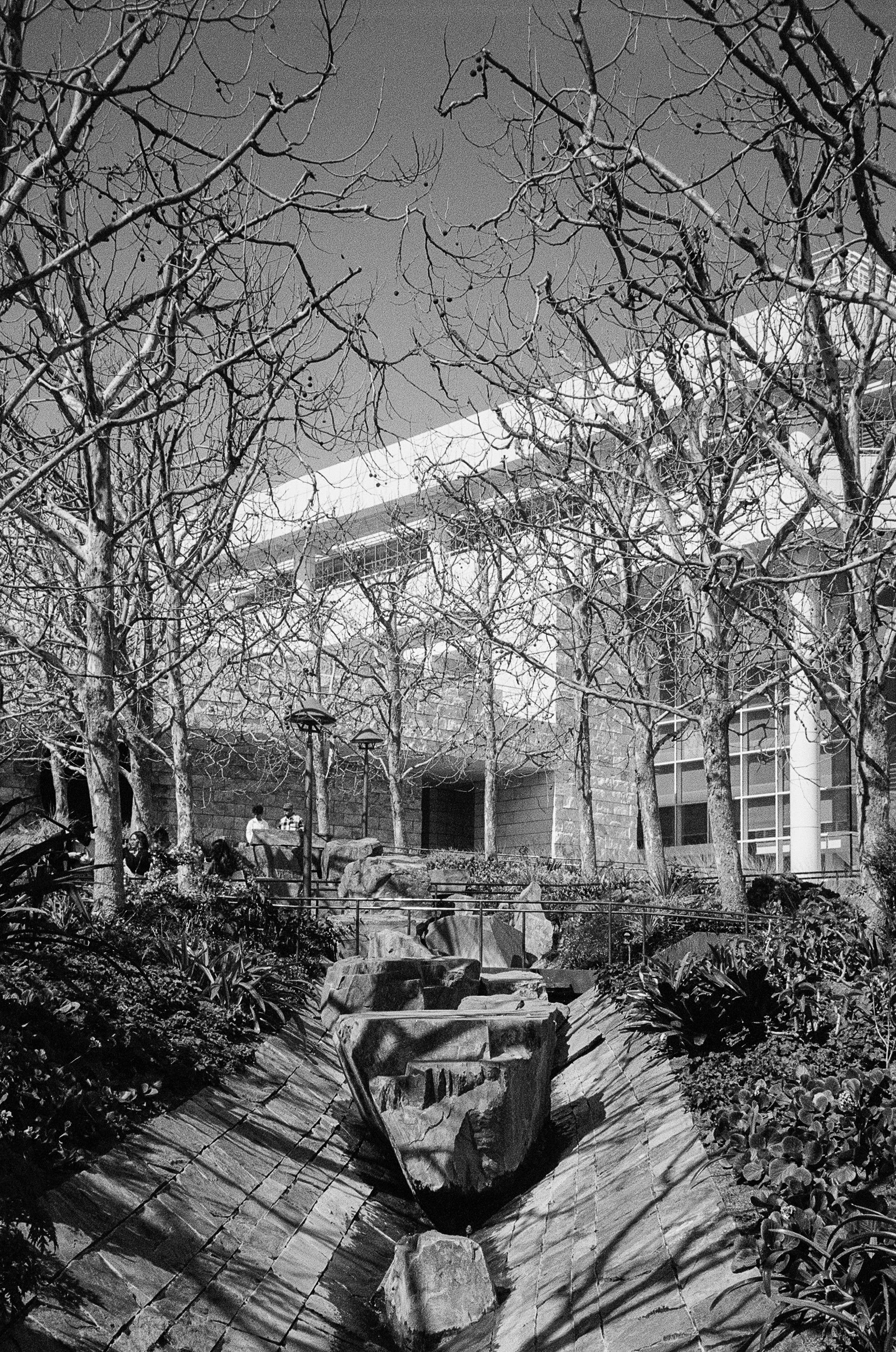 000340370029 copy-2.jpg