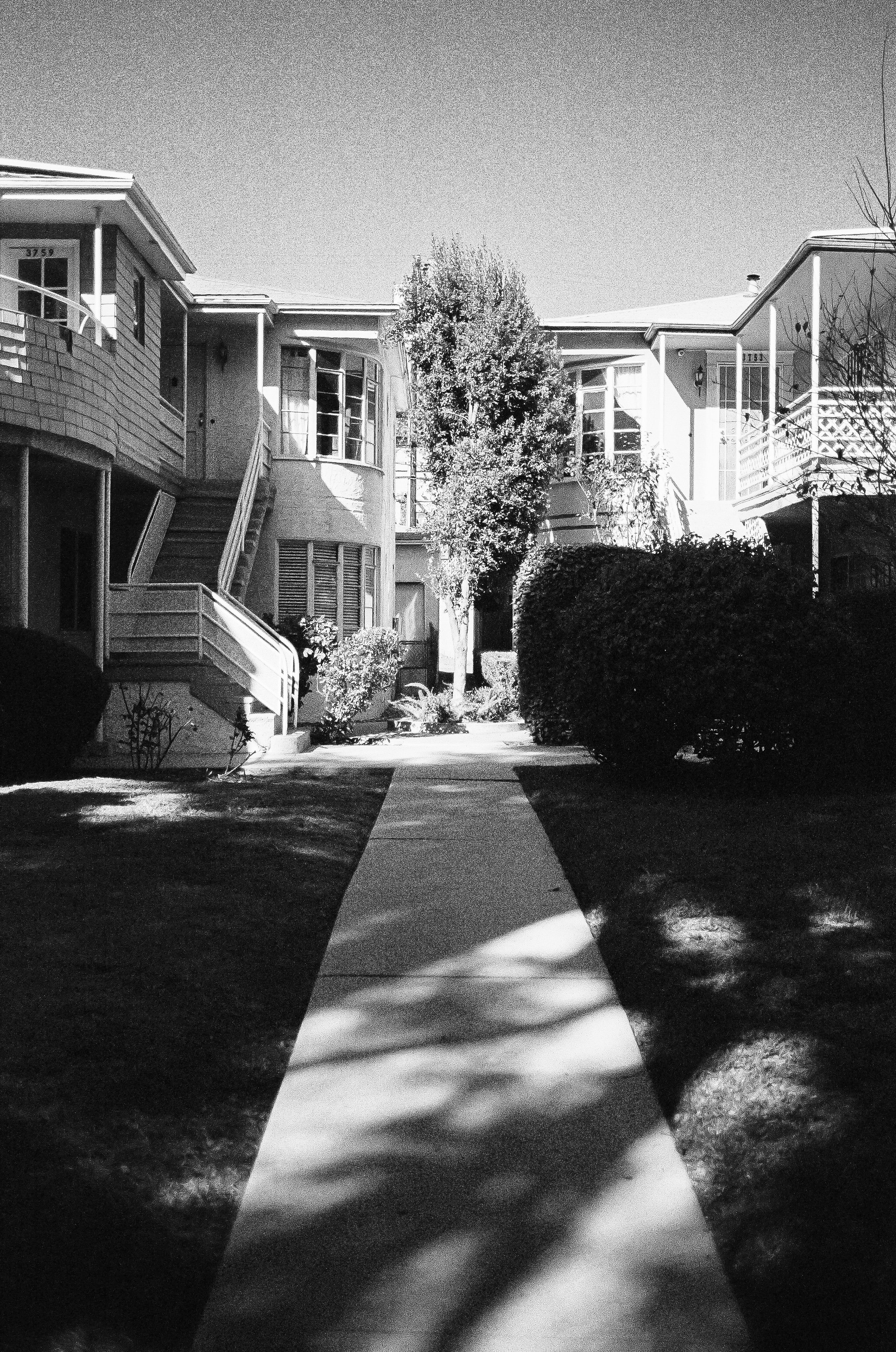 000388780025 copy-2.jpg