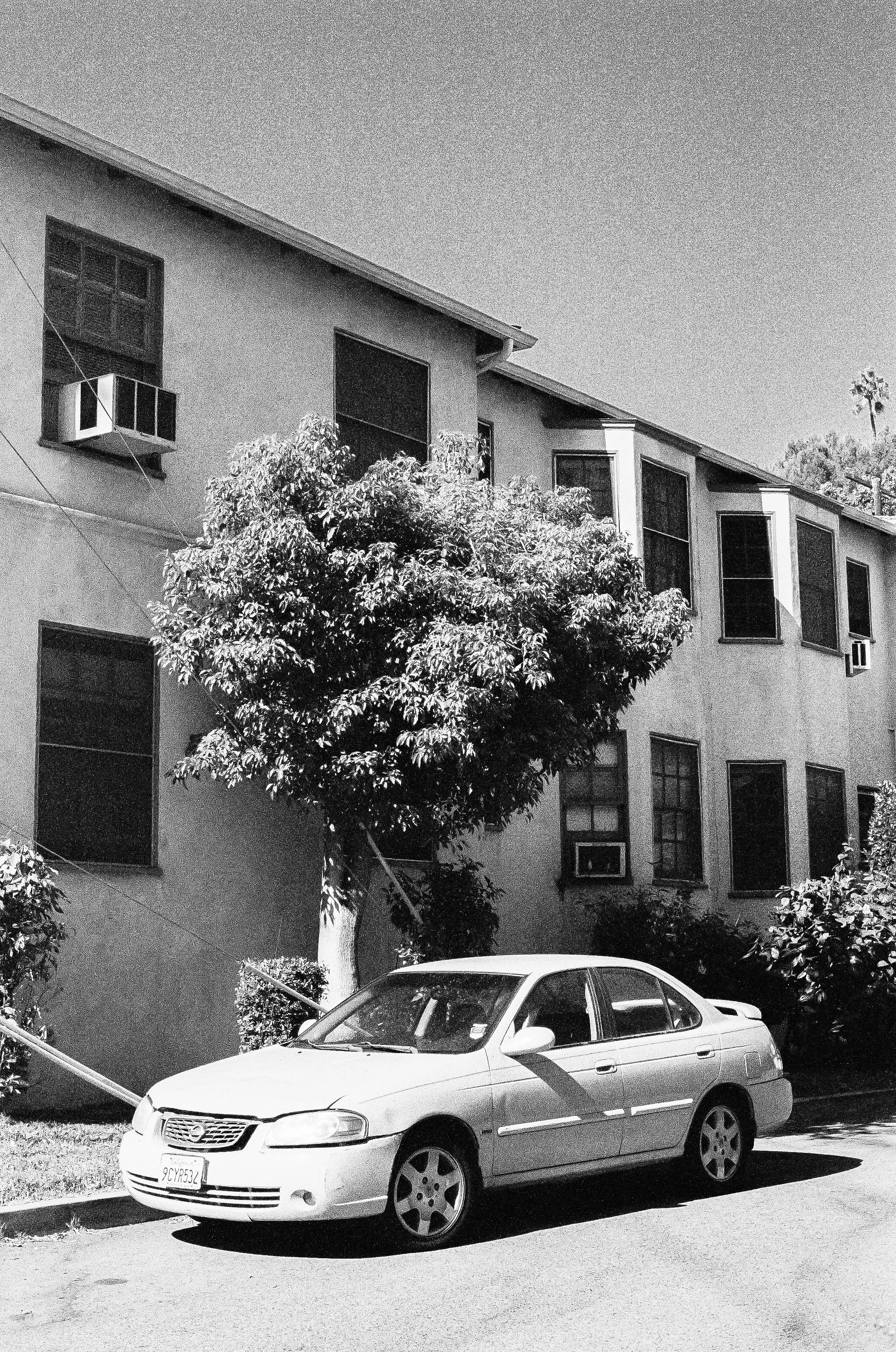 000368280029 copy-2.jpg