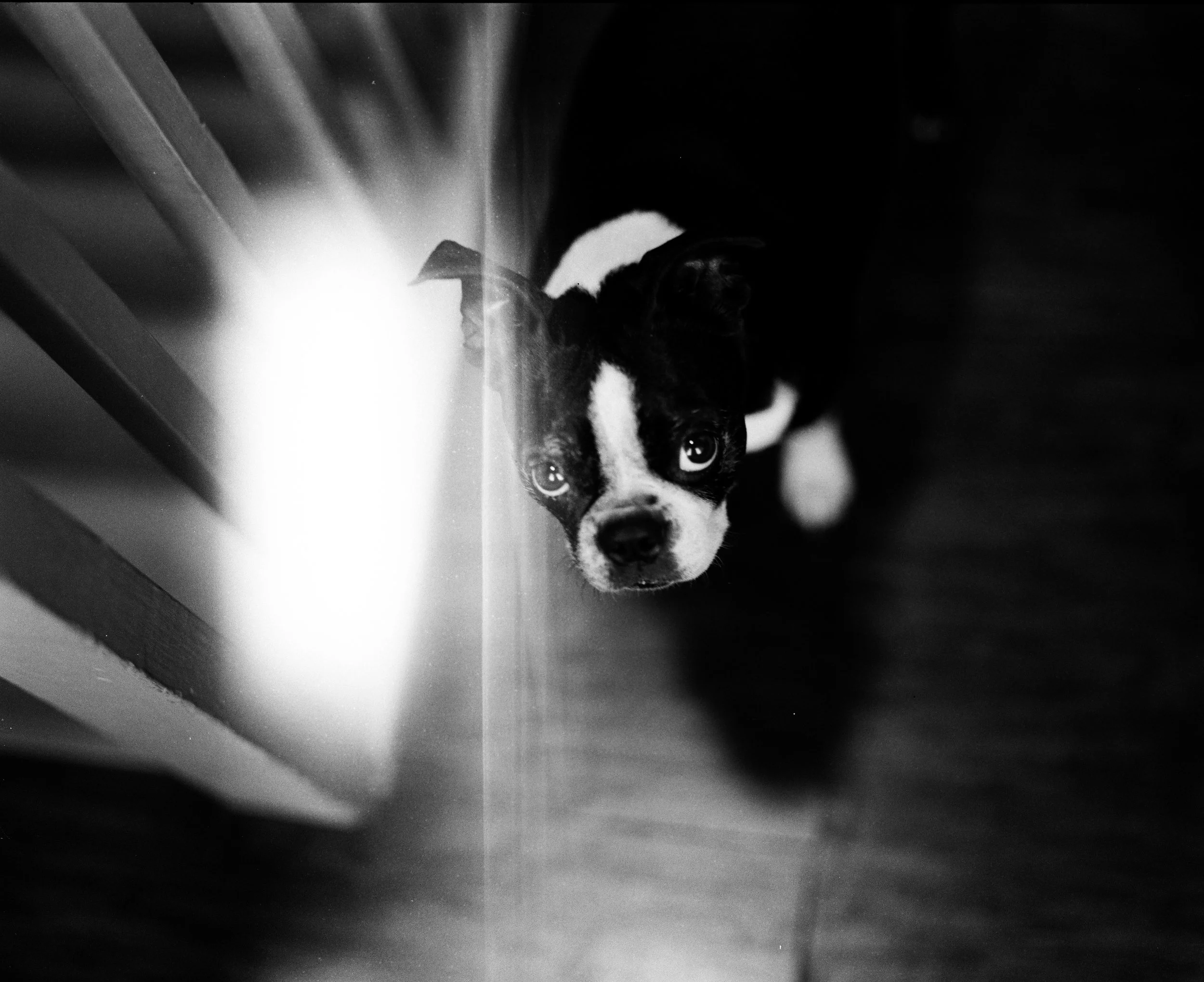 000049510009 copy.jpg