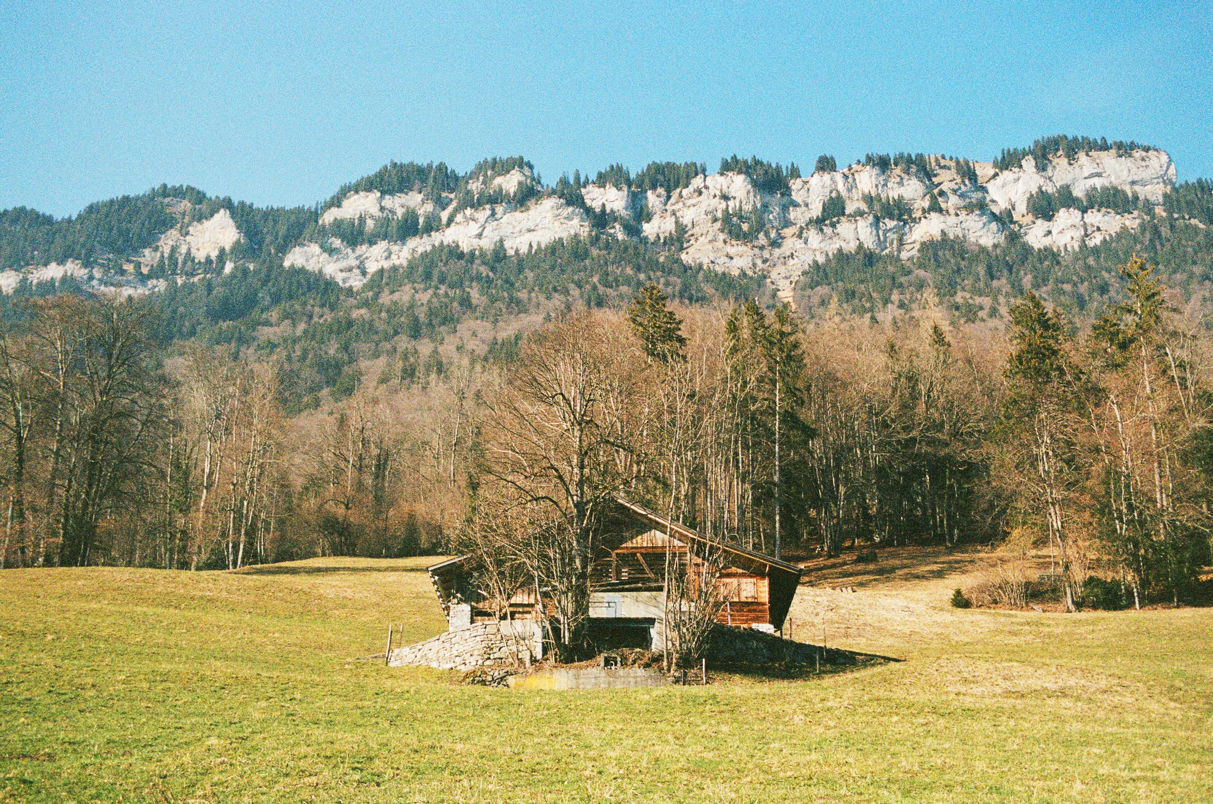 000418820020.jpg