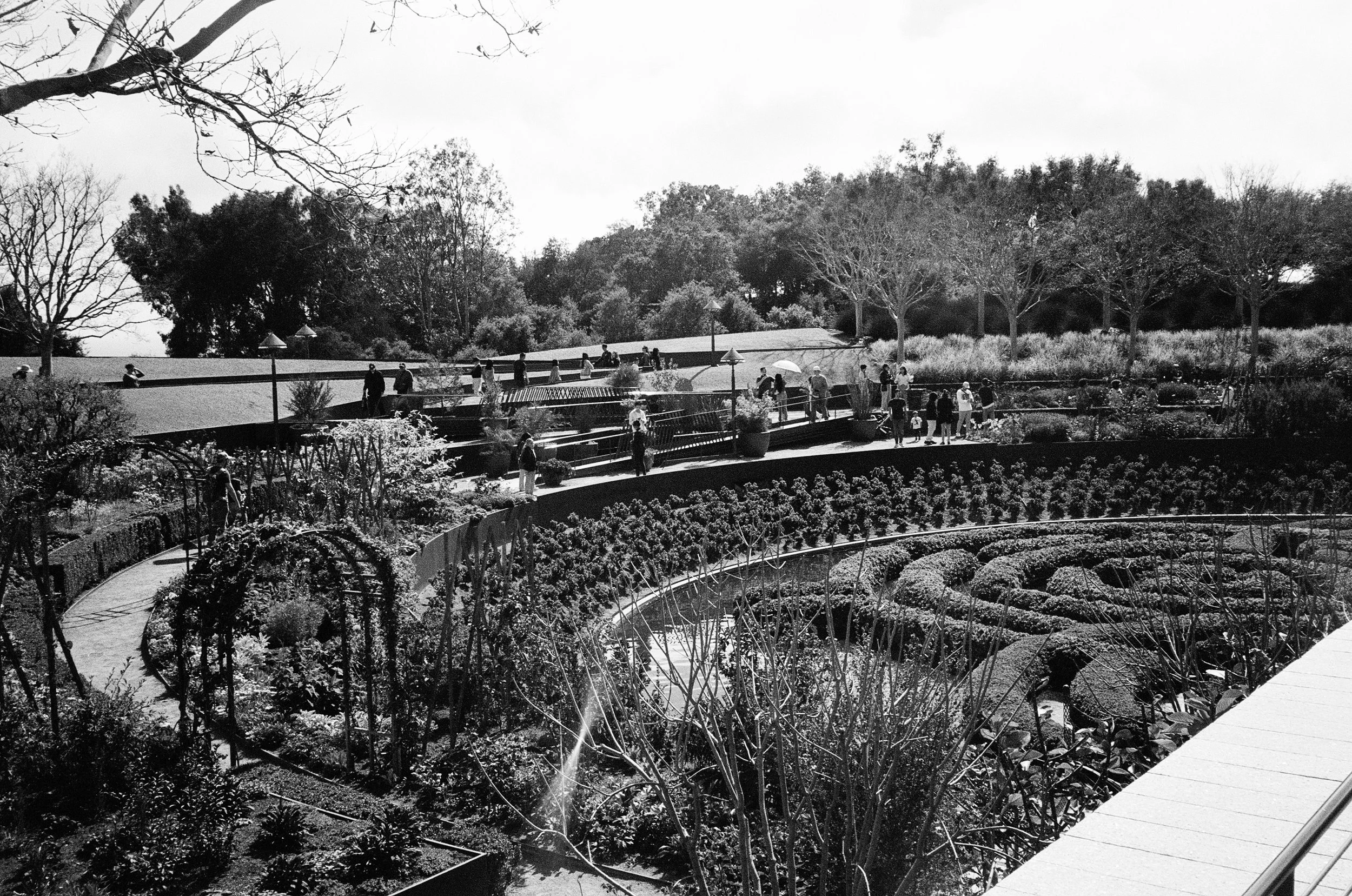 000340370035 copy.jpg