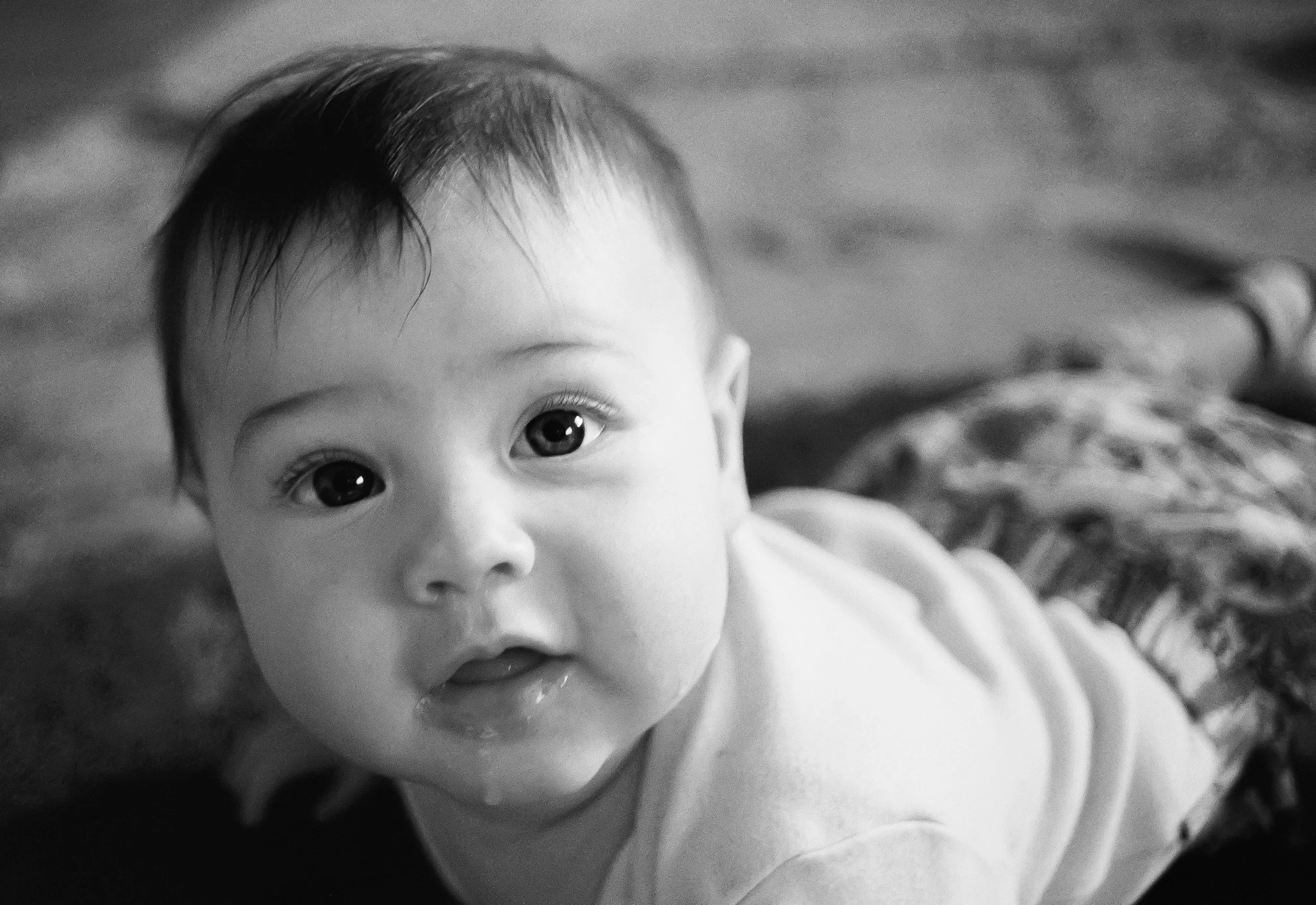 "Family Photos" - 2015-2025