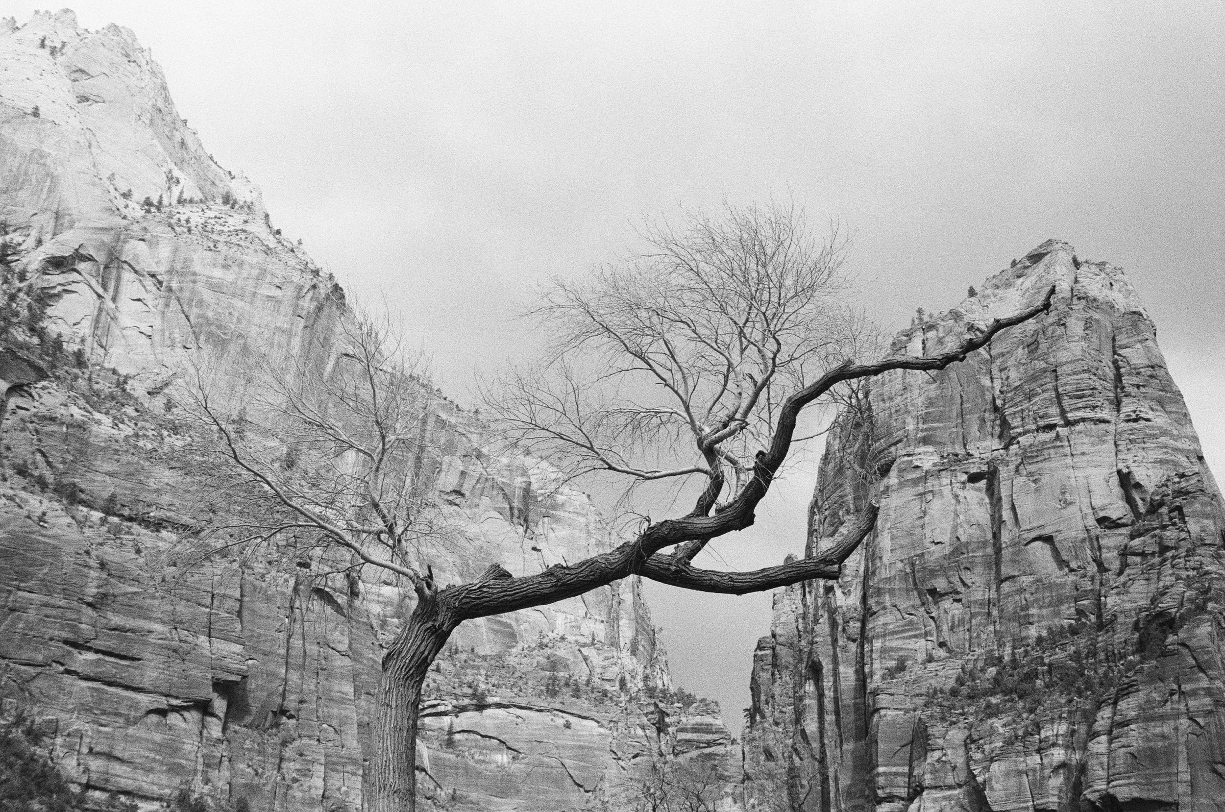 000416880006 copy.jpg