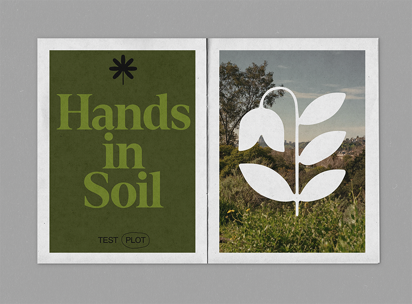 Test Plots Editorial