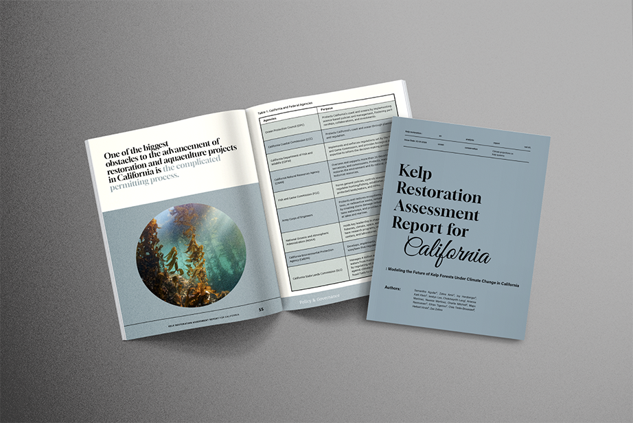 Kelp Restoration Report