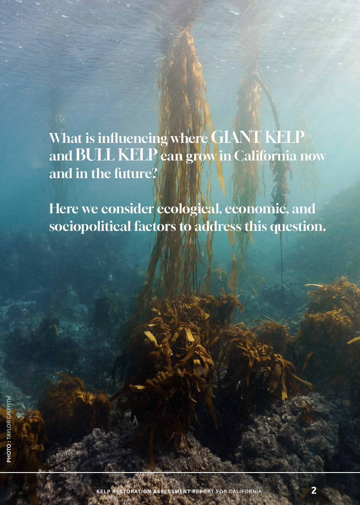 Screenshot 2025-10-24 at 12.12.33 AM.png