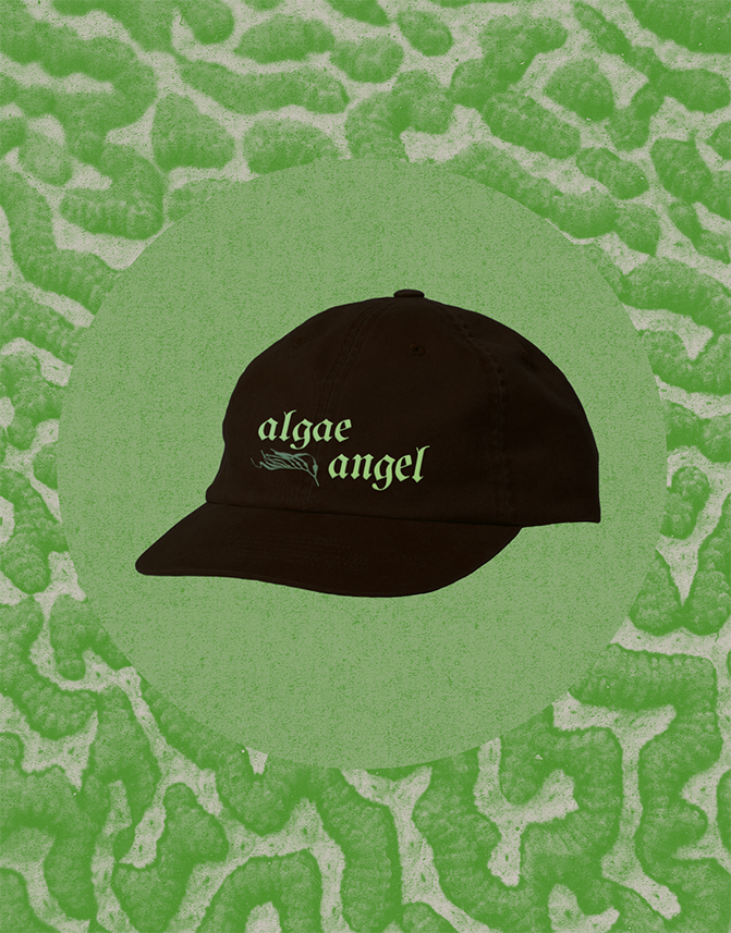 Screenshot 2025-12-12 at 11.19.09 PM.png