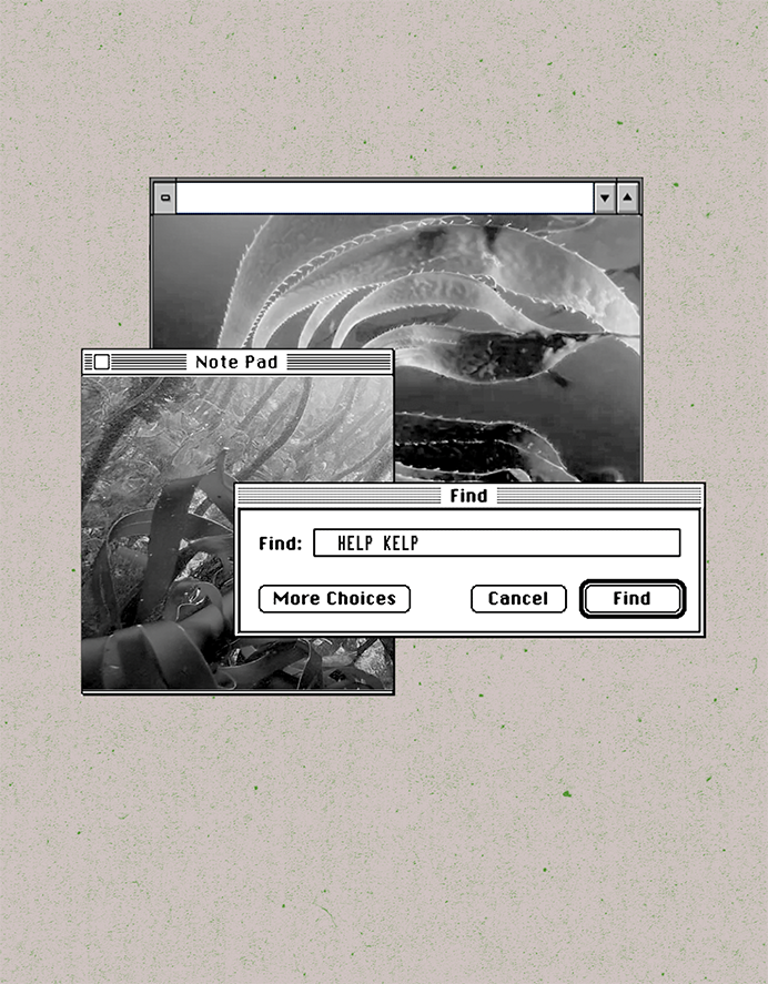 Screenshot 2025-12-12 at 11.12.06 PM.png