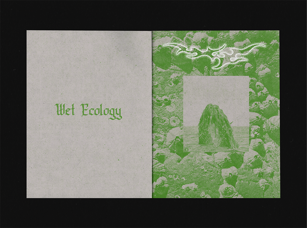 Book titled 'Wet Ecology' with a green cover, showing rocks and a sea stack on a beach in a framed insert.