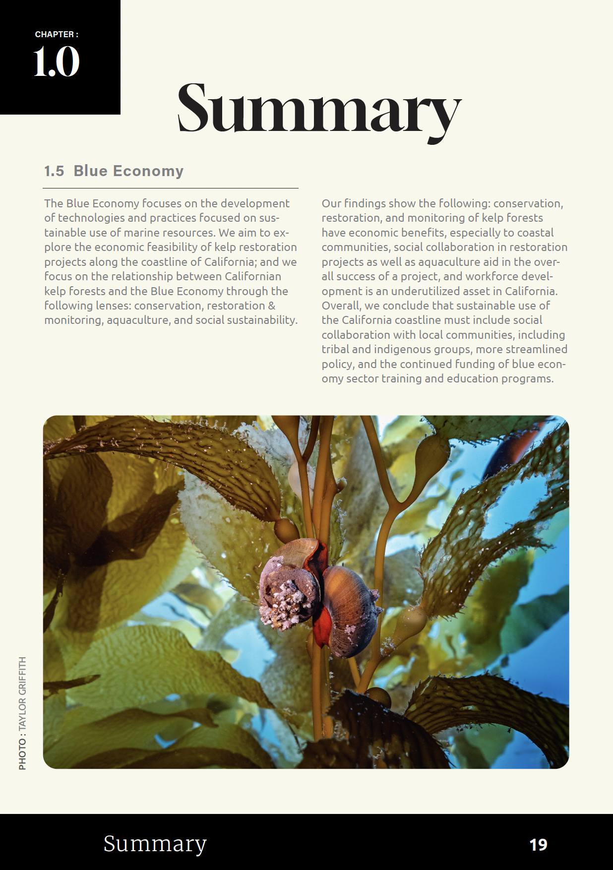 Screenshot 2025-10-24 at 12.13.45 AM.png