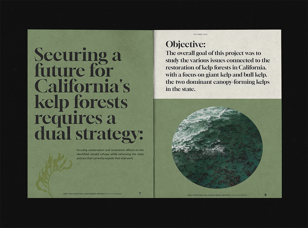 Open magazine article discussing strategies for protecting California's eelgrass forests, with a headline emphasizing the importance of dual strategies and an image of eelgrass in water.