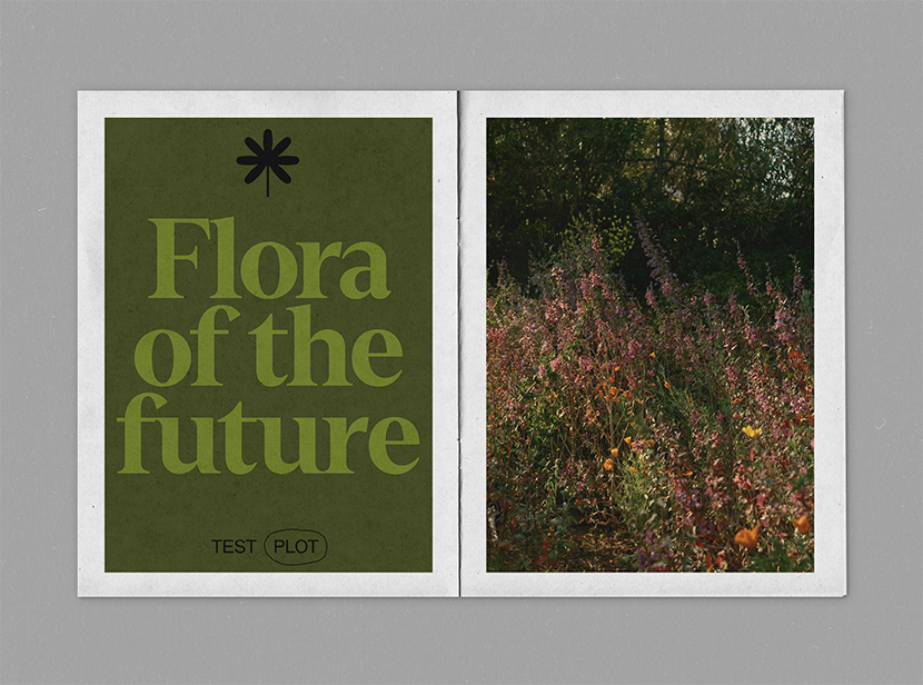 Test Plots Editorial