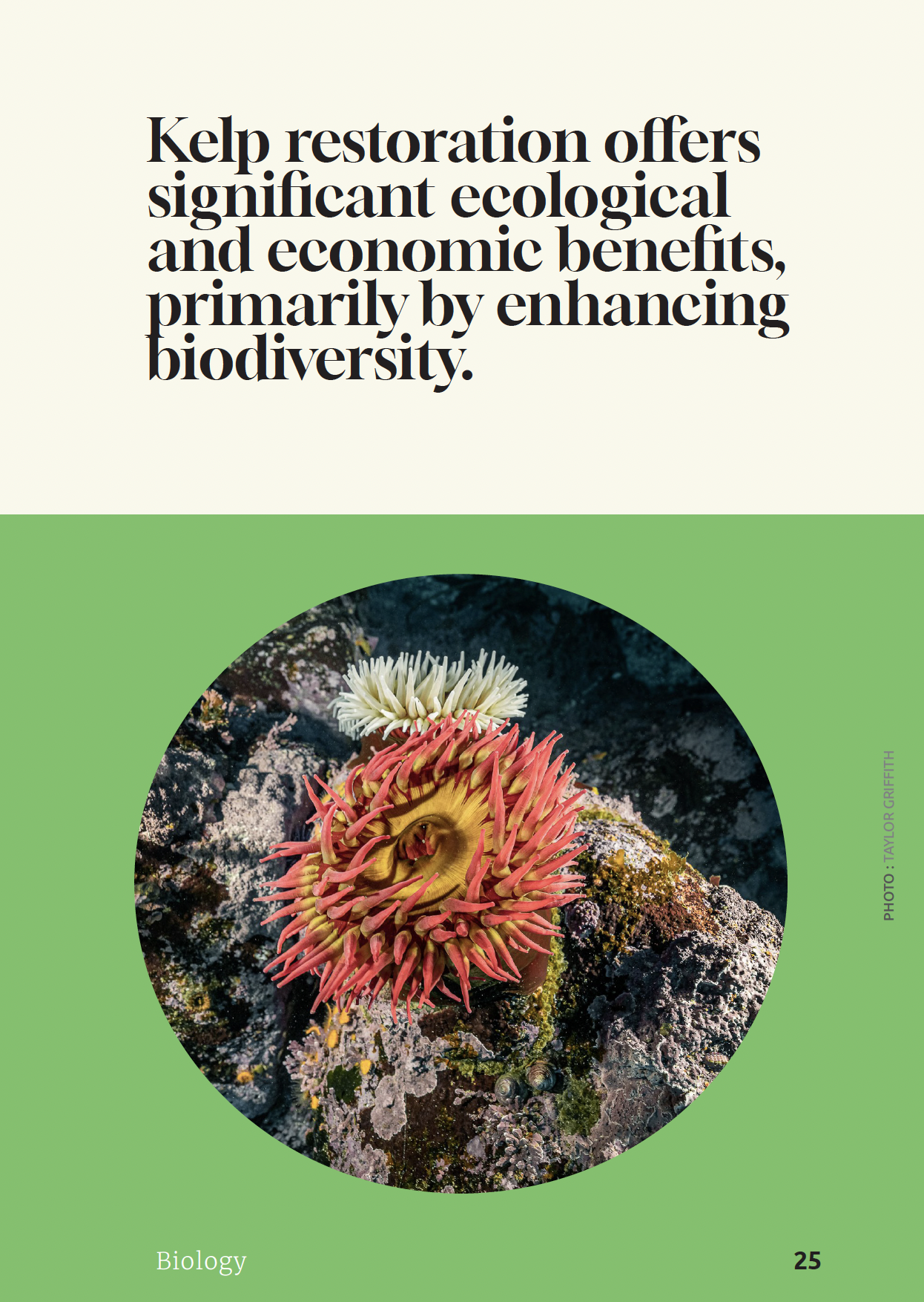 Screenshot 2025-10-24 at 12.14.04 AM.png