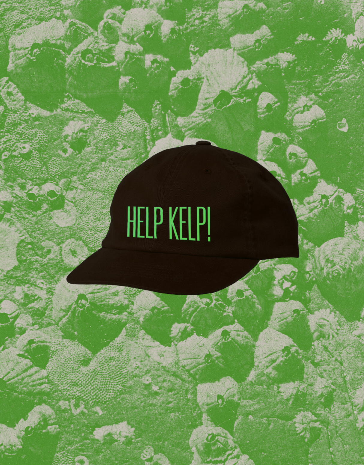 Help Kelp Merch and Zine