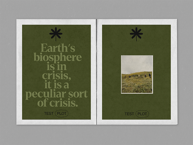 Test Plots Editorial