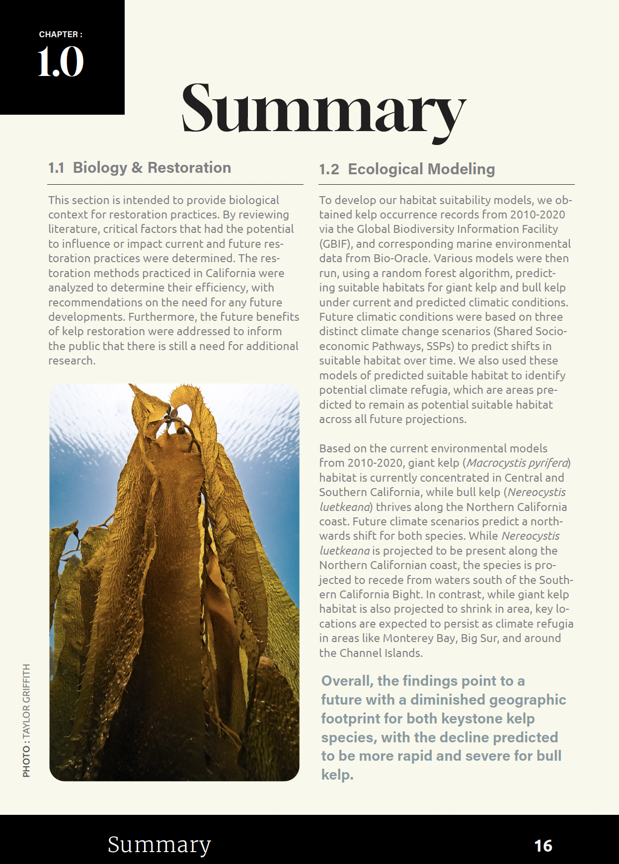 Screenshot 2025-10-24 at 12.13.35 AM.png