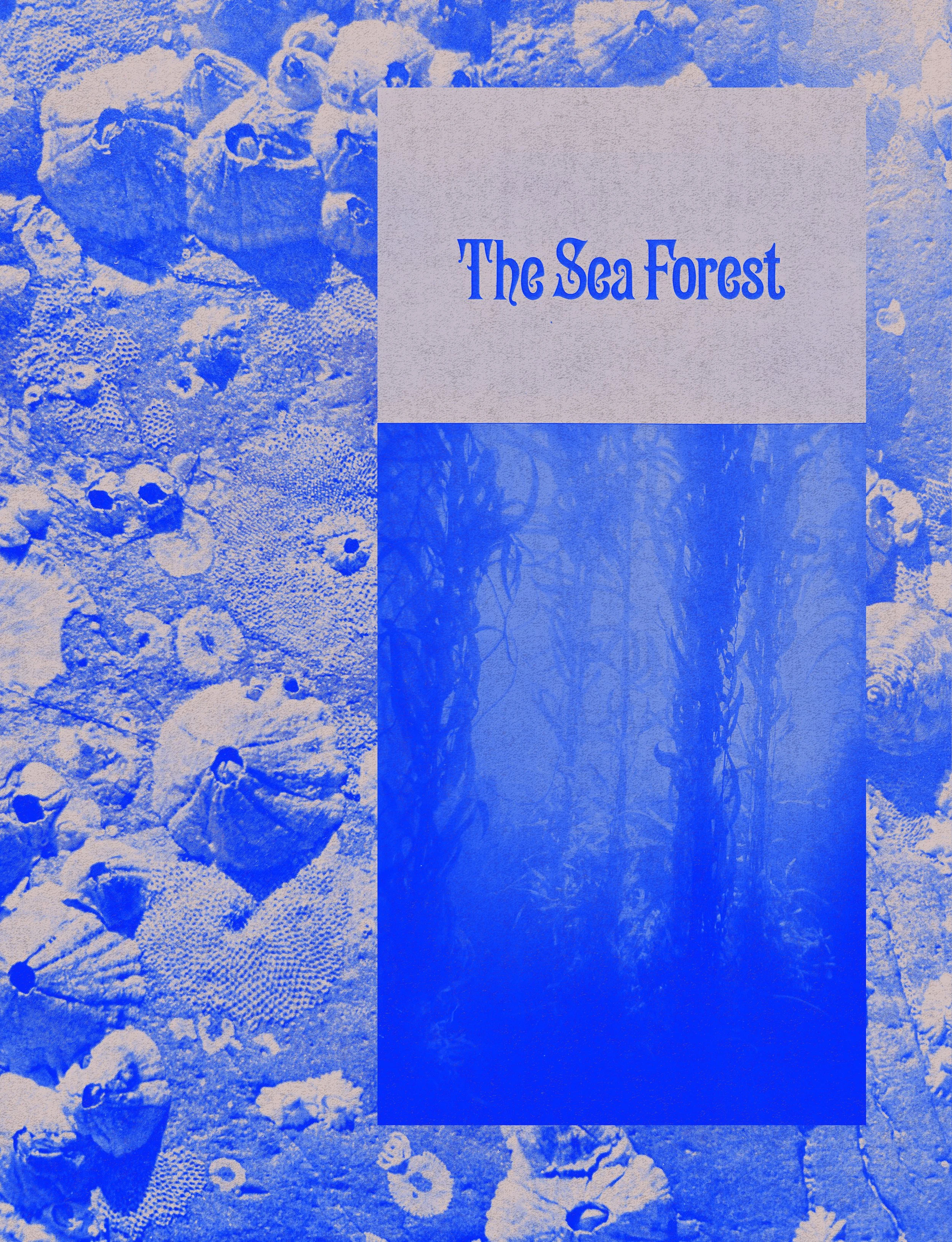 Sea Forest Zine