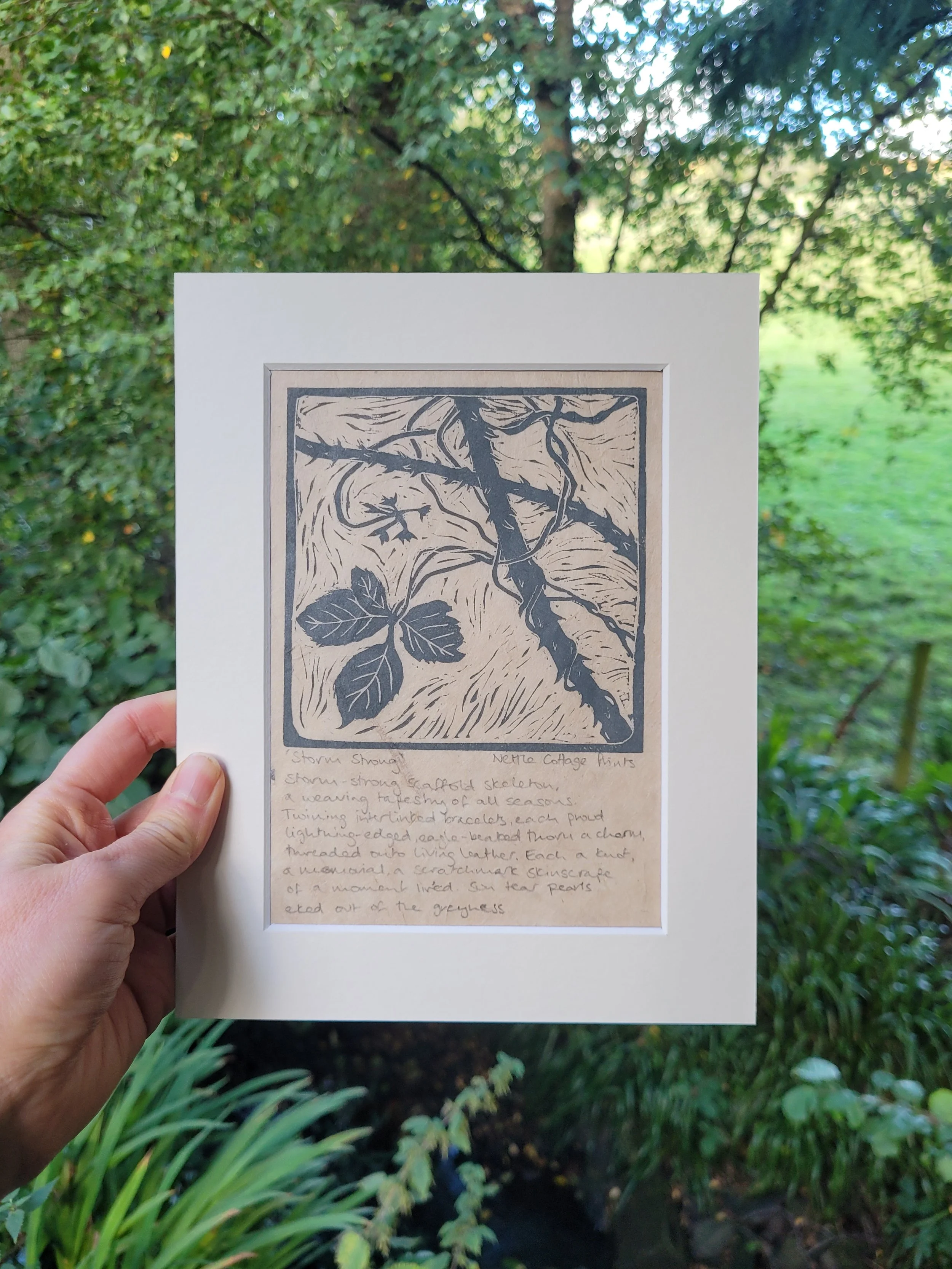 Storm Strong | January | Brambles