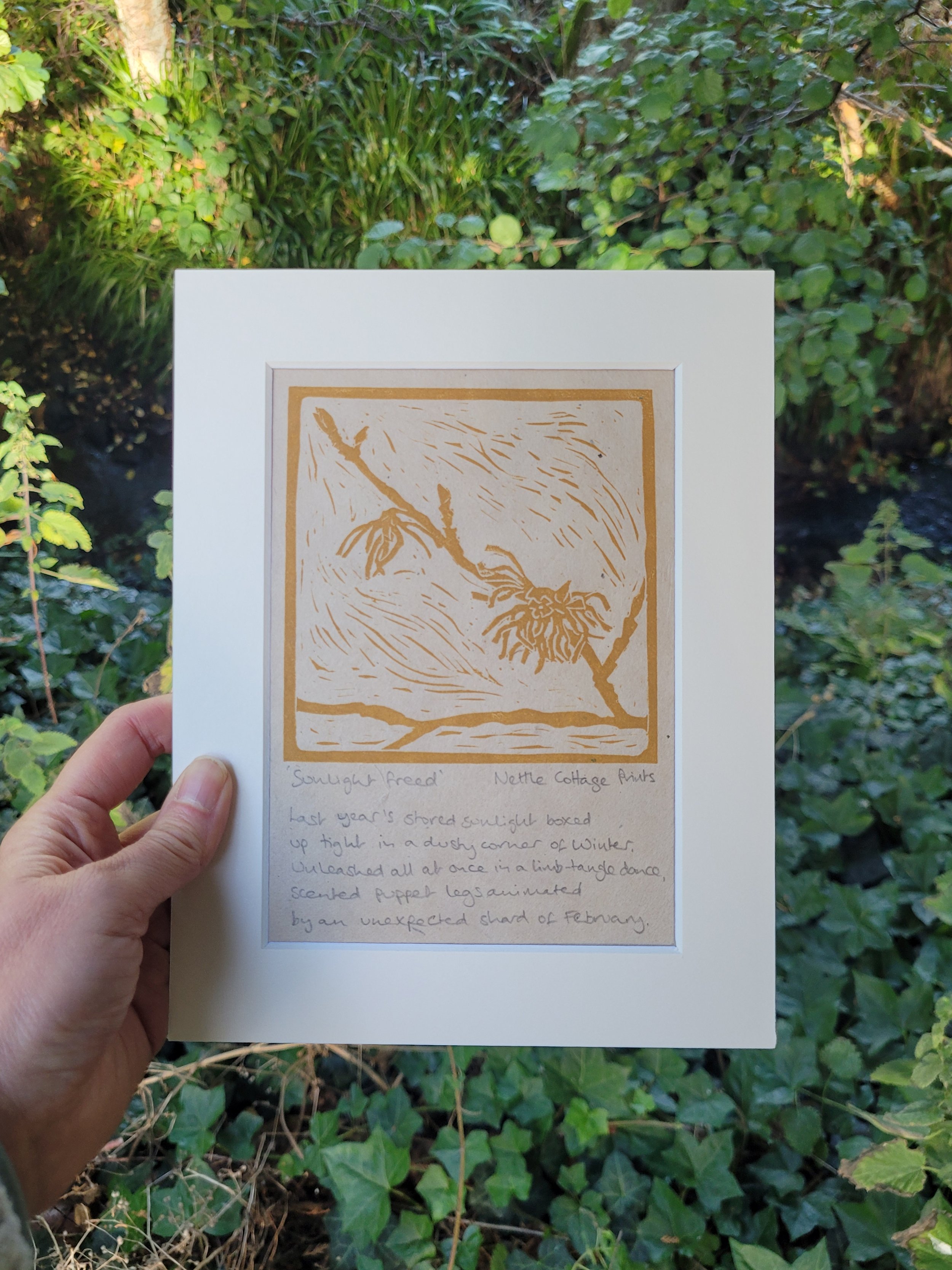 February_SunlightFreed_NettleCottagePrints.jpg