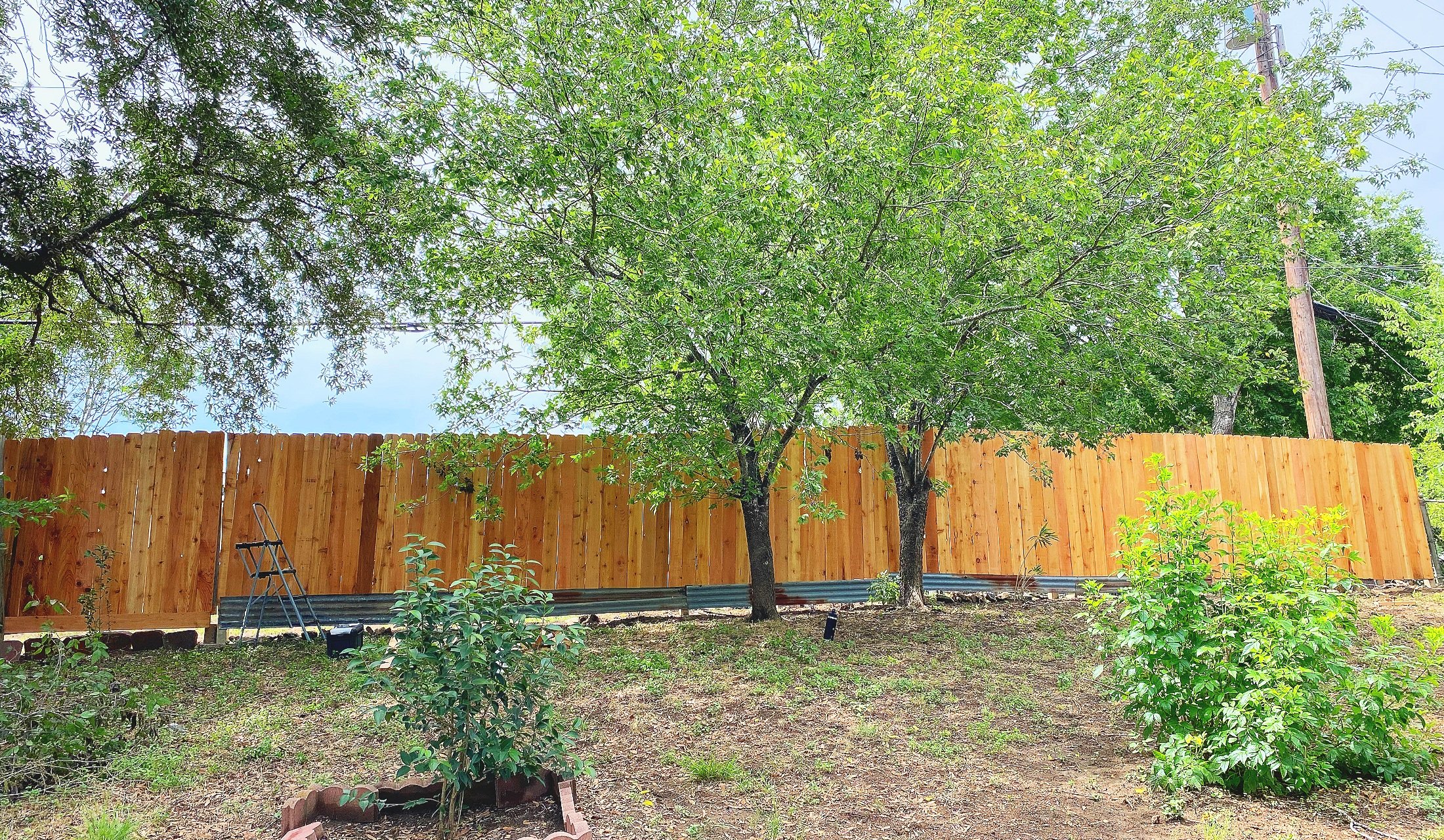 Screen Shot 2024-07-07 at 3.48.49 PM.jpg