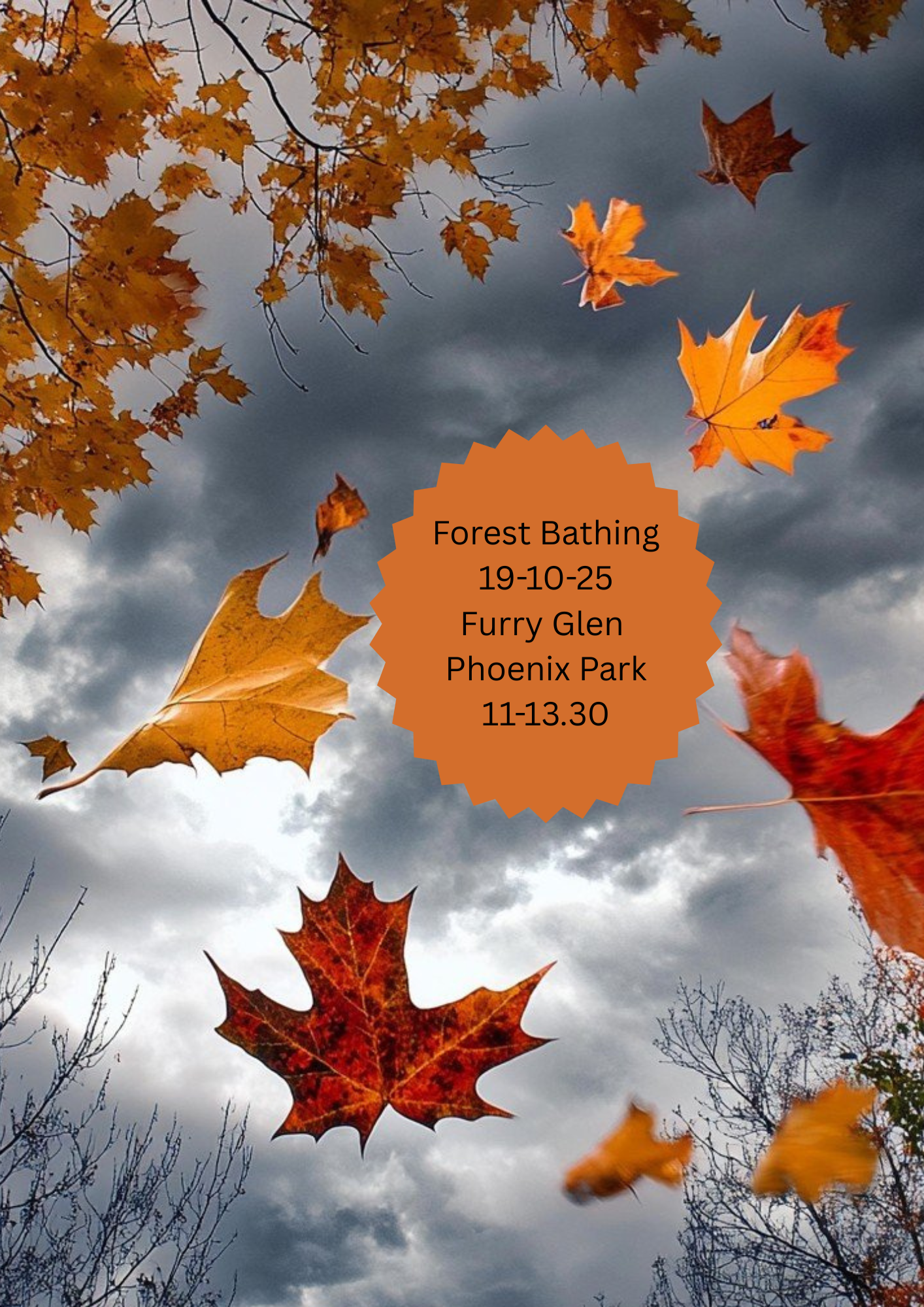 Forest Bathimg.png