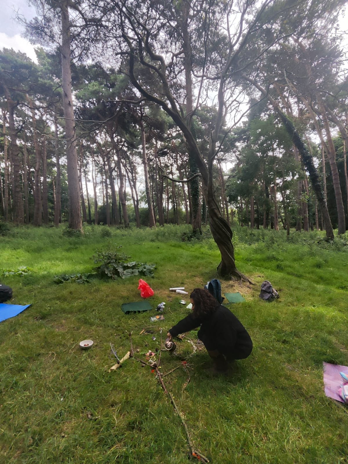 Forest bathing Dublin