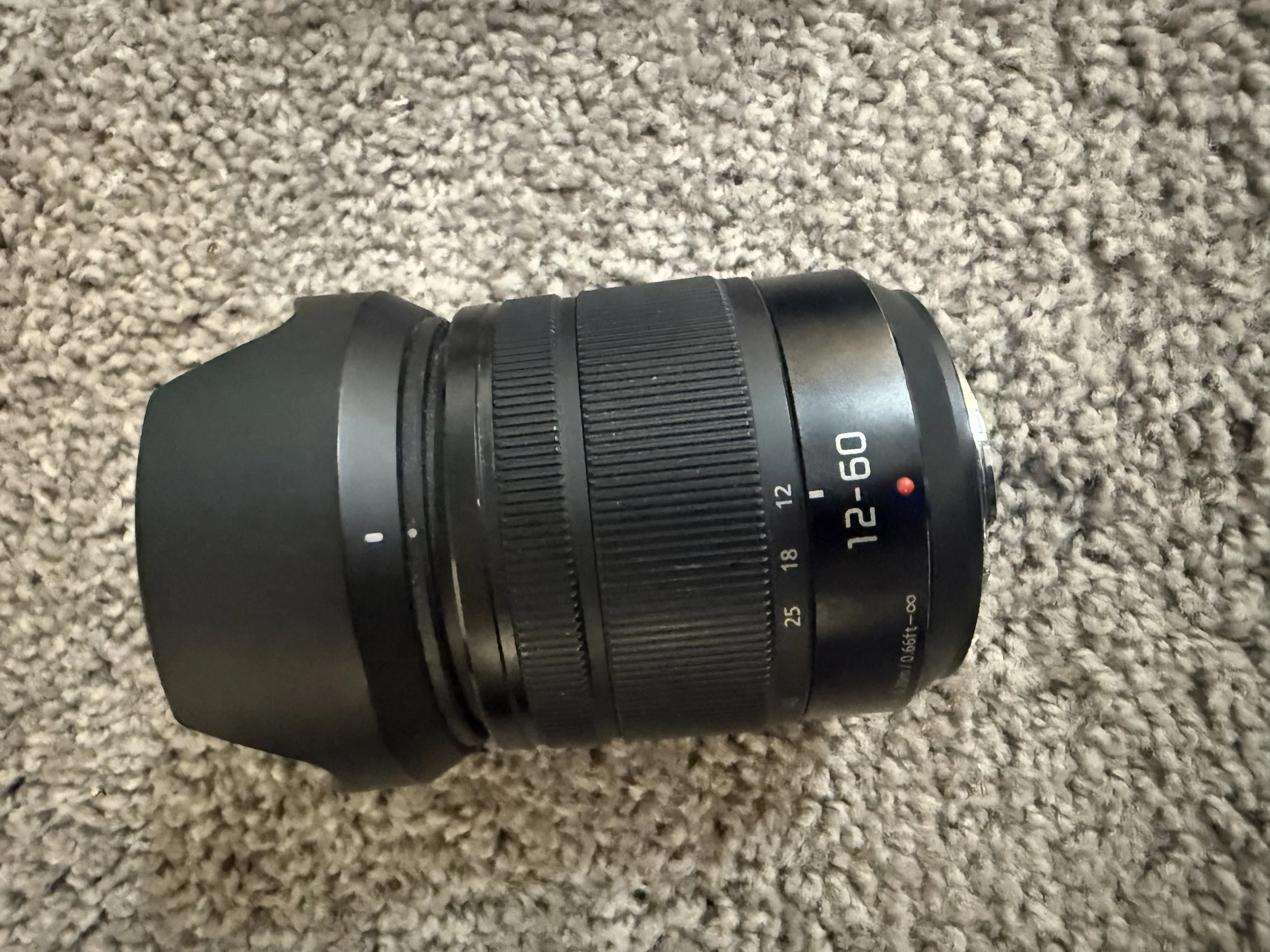 Panasonic Lumix Micro Four-Thirds Lens (12-60mm) (Per Day)