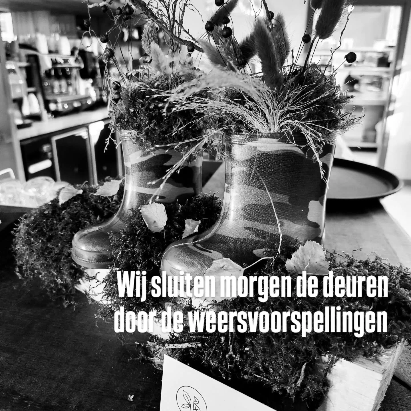 De regenlaarzen mogen morgen thuis blijven! 
Donderdag 23 oktober doen we de deuren niet open. 
Door de sterke wind die ze voorspellen hebben we ervoor gekozen om de brasserie dicht te laten. 
We willen met de vele bomen op het domein geen enkel ris