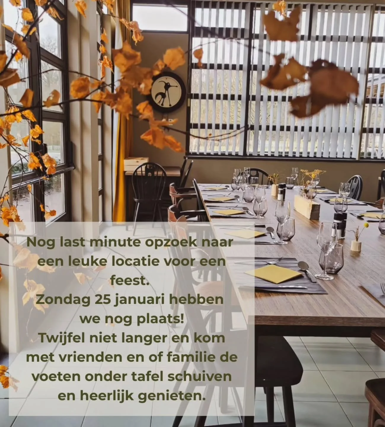 Voor meer informatie kan u altijd bij ons terecht 
info@debosserie.be
Of tijdens de uren 0469/49.80.30