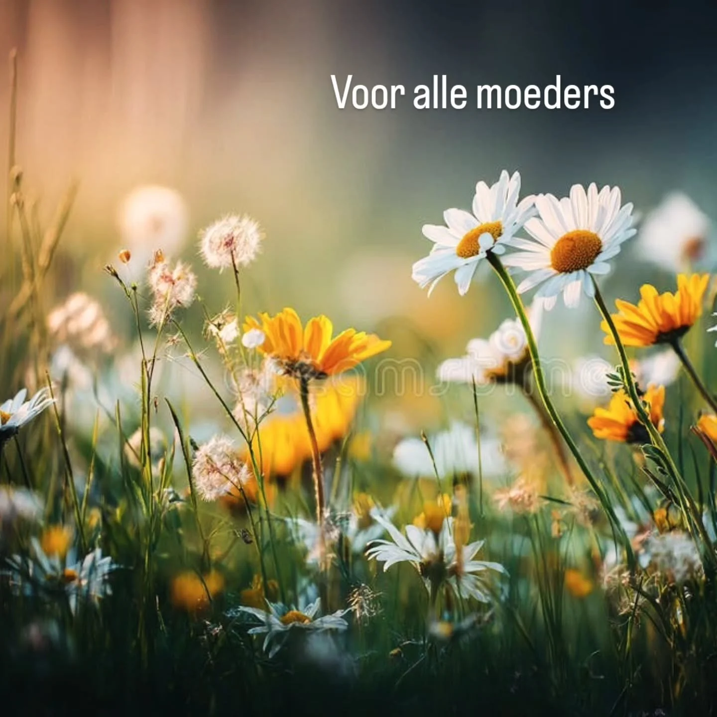 Vandaag zetten we alle mama&rsquo;s in de bloemetjes 🌸
Geniet samen van heerlijke smaken, gezellige momenten en een tafel vol liefde. 

Aan alle sterke, lieve en onvervangbare mama&rsquo;s: bedankt voor alles.

Fijne Moederdag! 🌷🥂

#Moederdag #deb