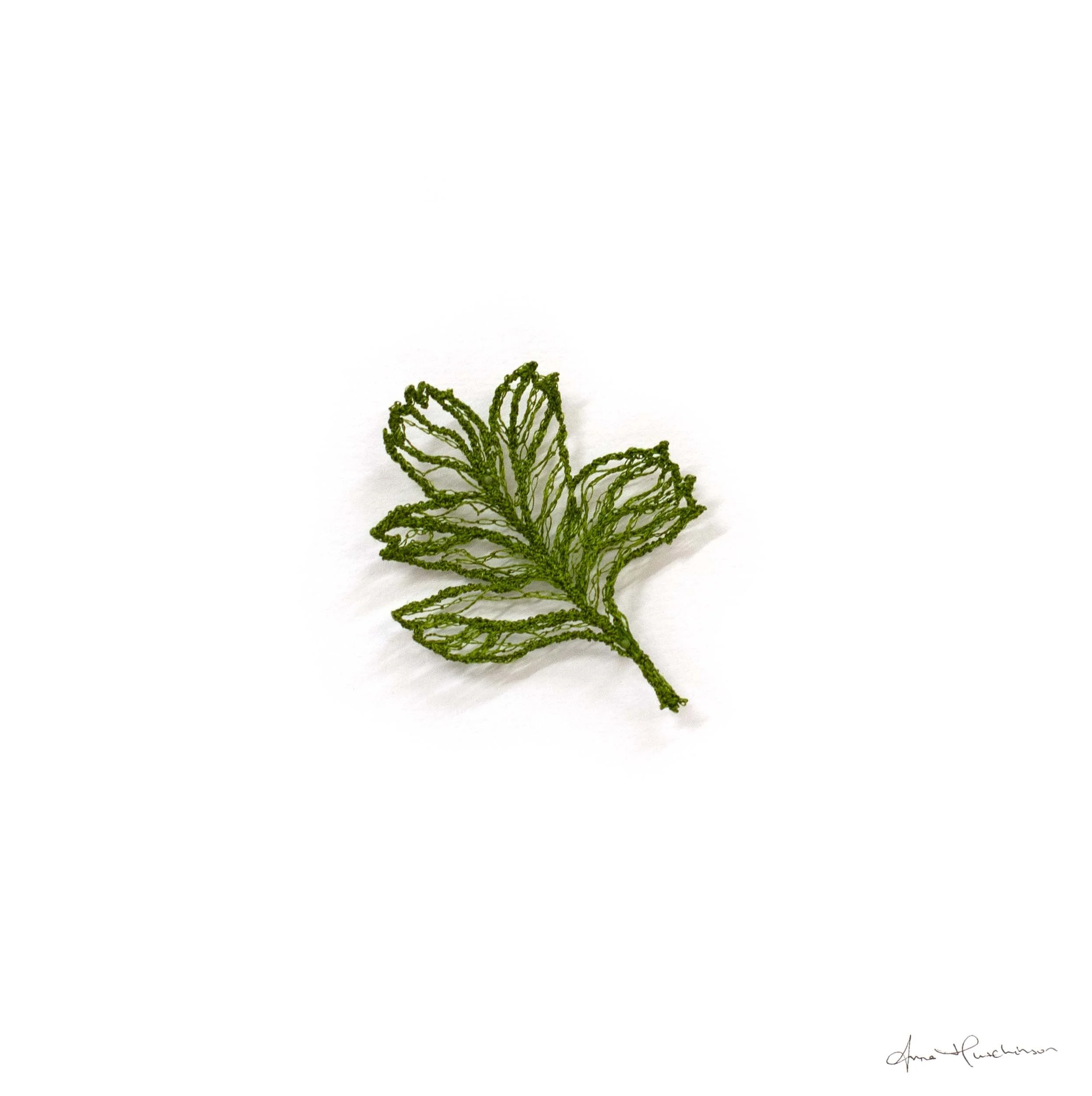 Hawthornw Leaf II.jpg (Copy)