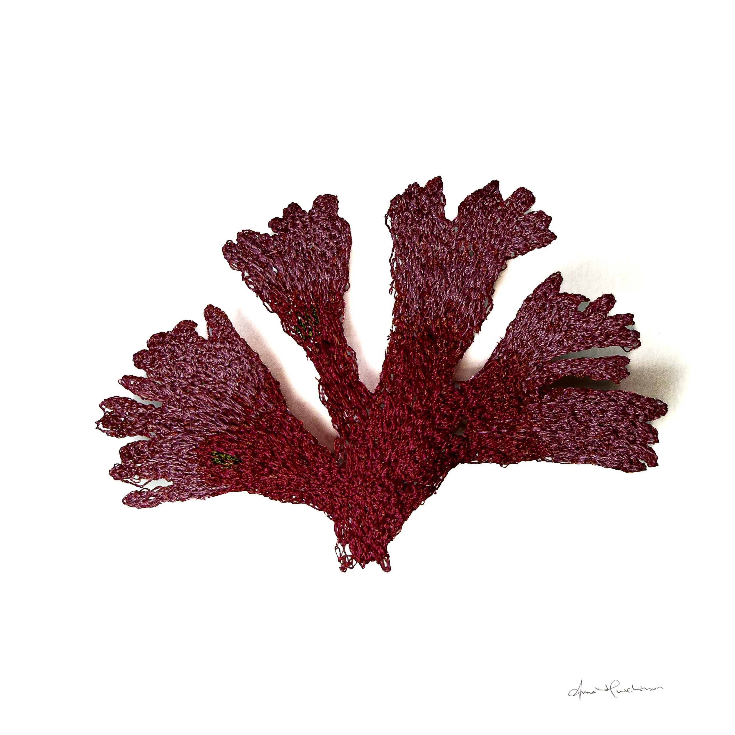 Beautiful Fan Weed I.jpg