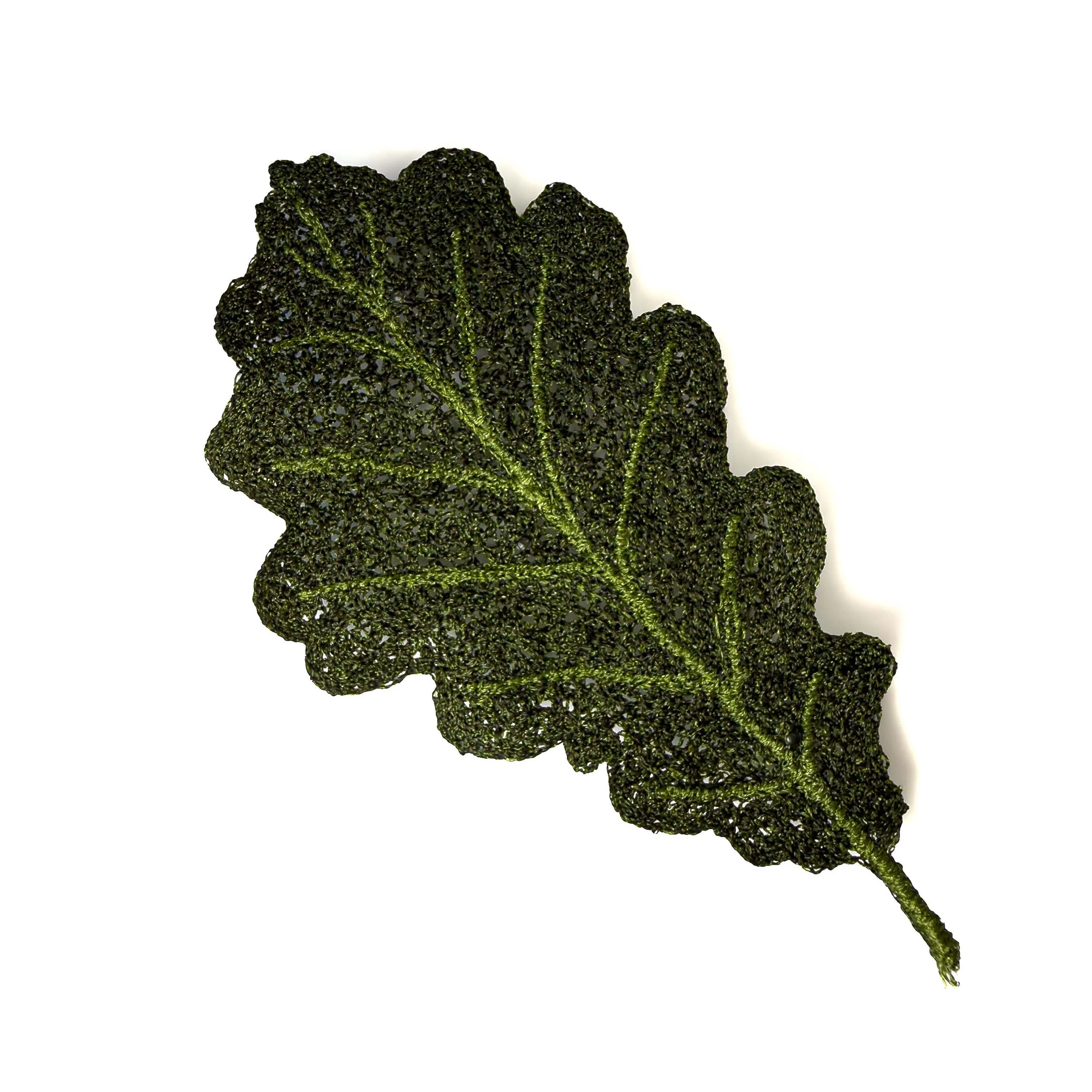 Oak Leaf I.jpg
