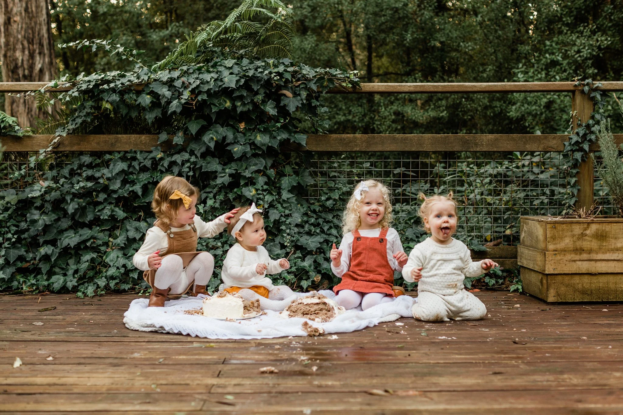 Picture of babies and cake smash