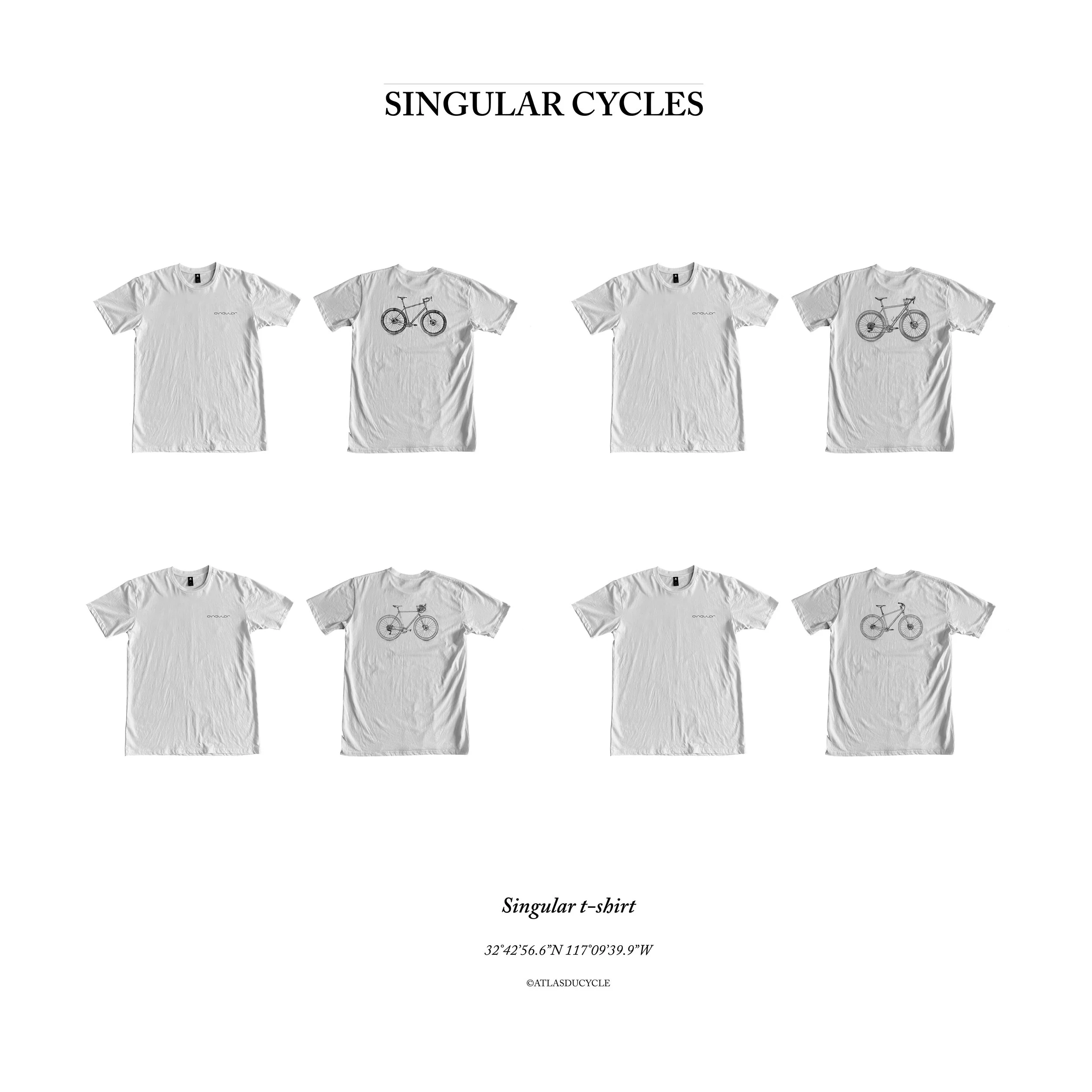 Singular Cycles
